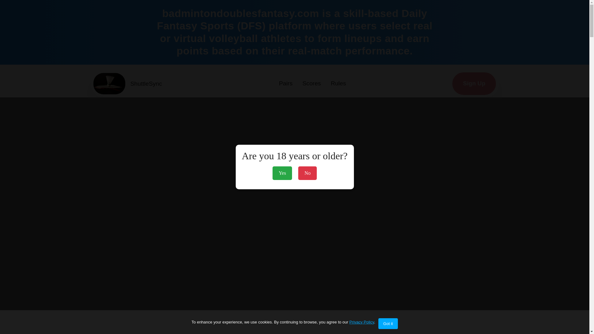 website screenshot of https://badmintondoublesfantasy.com/
