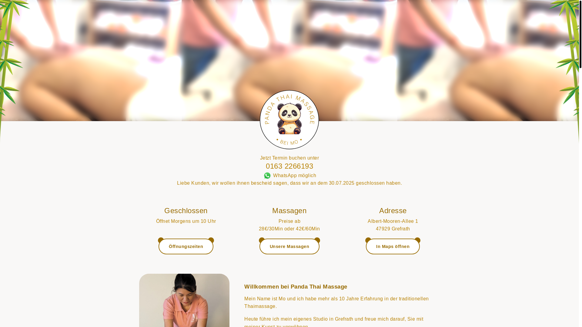 website screenshot of https://panda-acs.pages.dev/