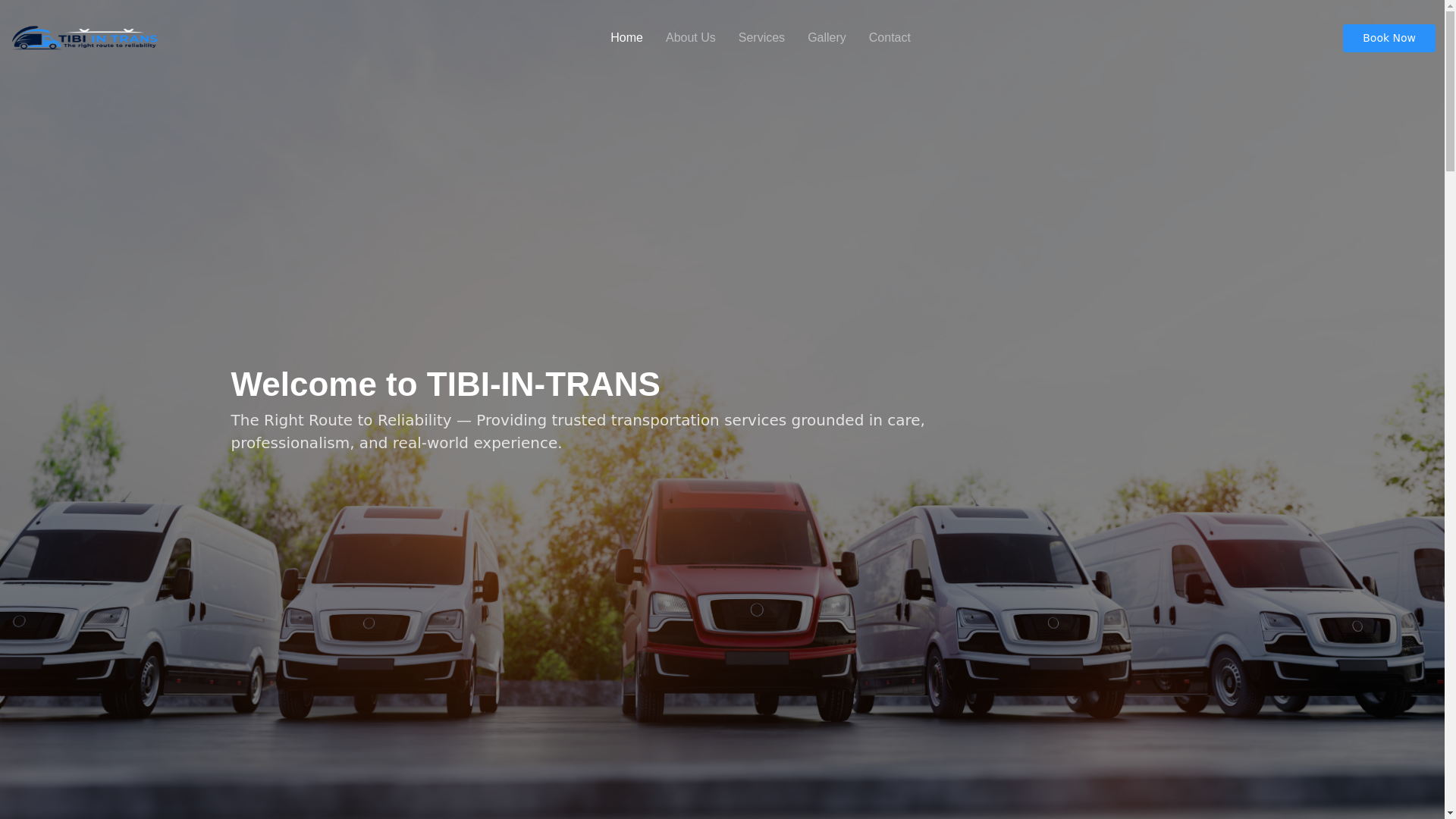 website screenshot of https://tibi-in-trans.co.za/