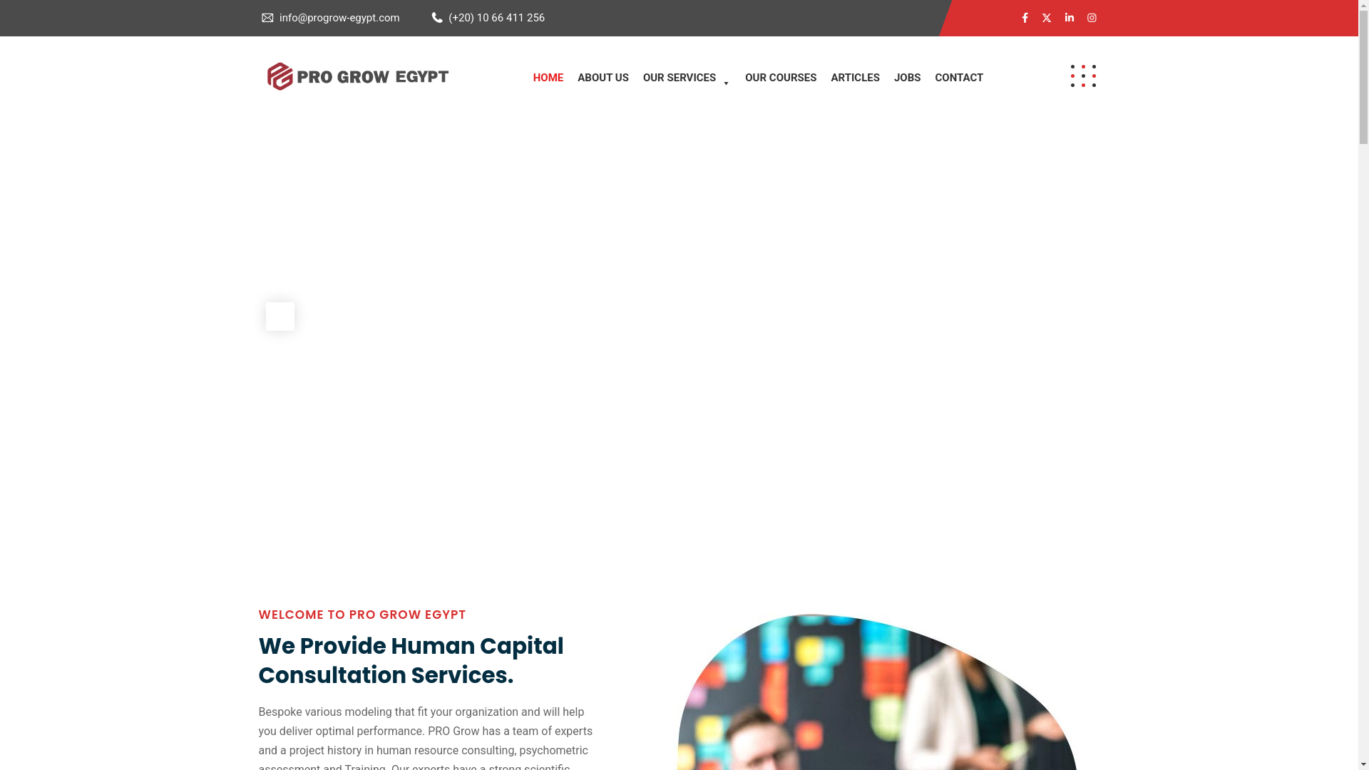 website screenshot of http://www.progrow-egypt.com/