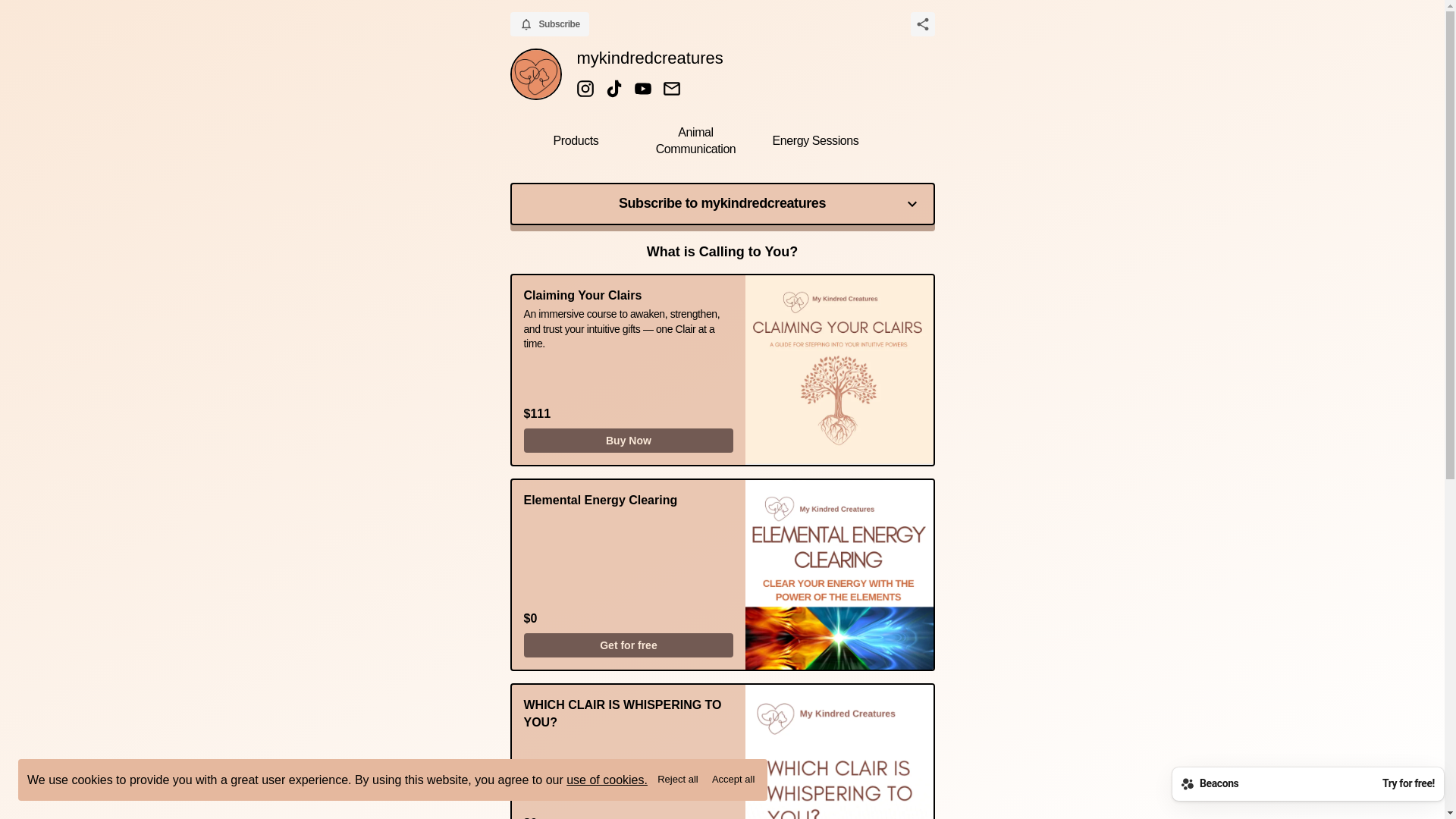 website screenshot of https://mykindredcreatures.store/
