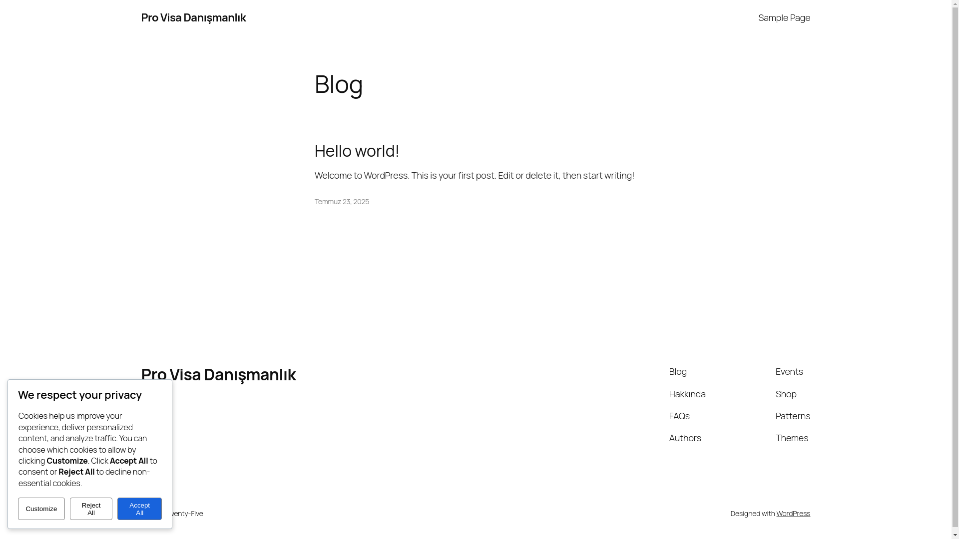 website screenshot of https://provisadanismanlik.com/