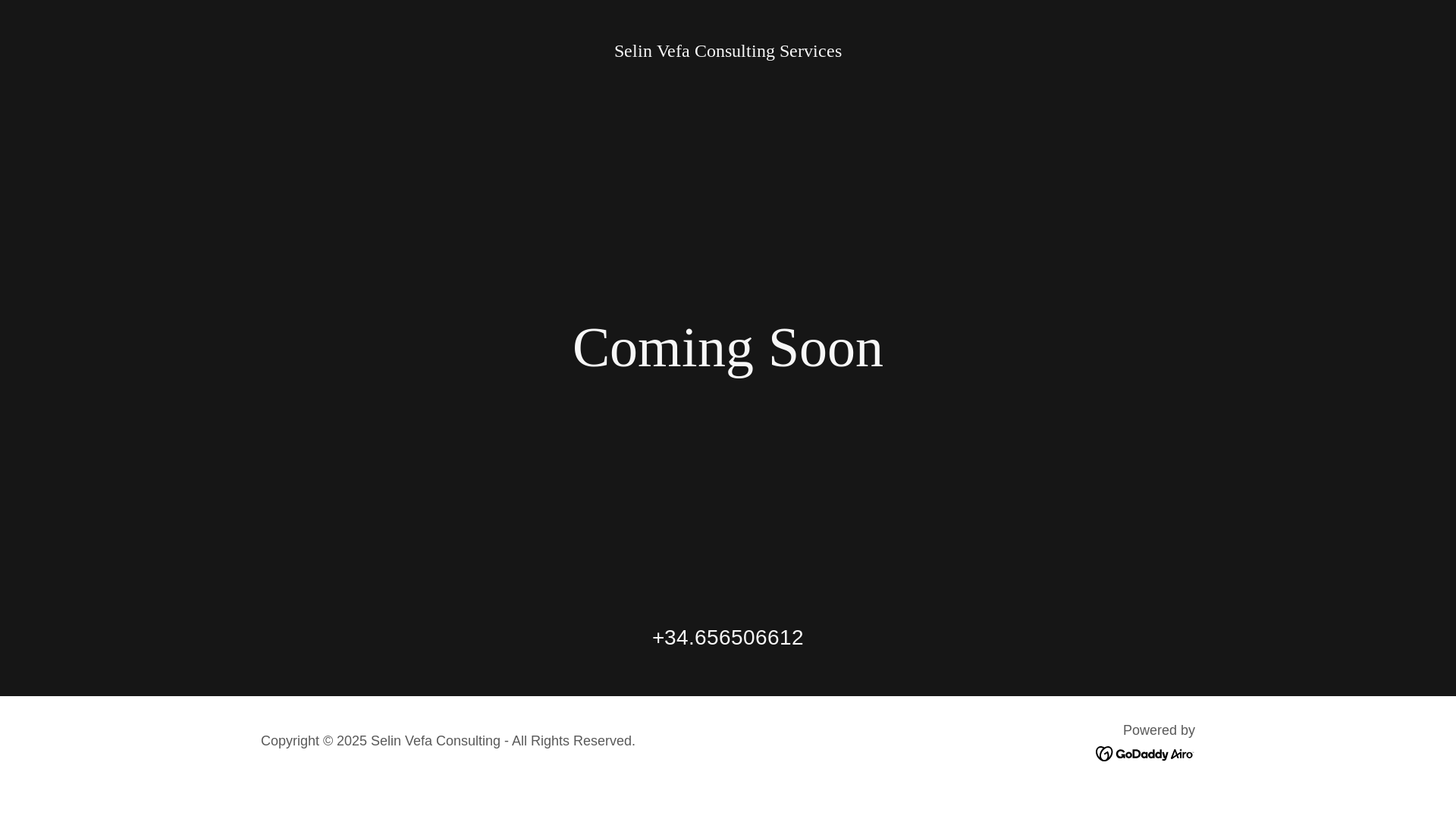 website screenshot of https://selinvefa.es/