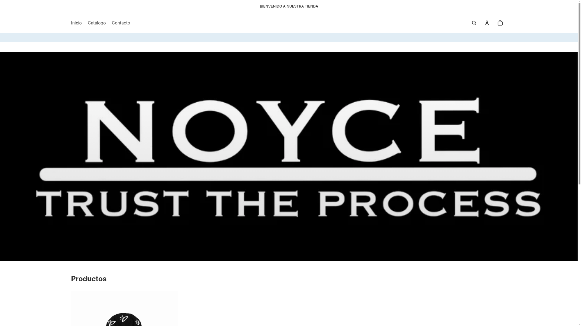 website screenshot of https://noyce.com.co/