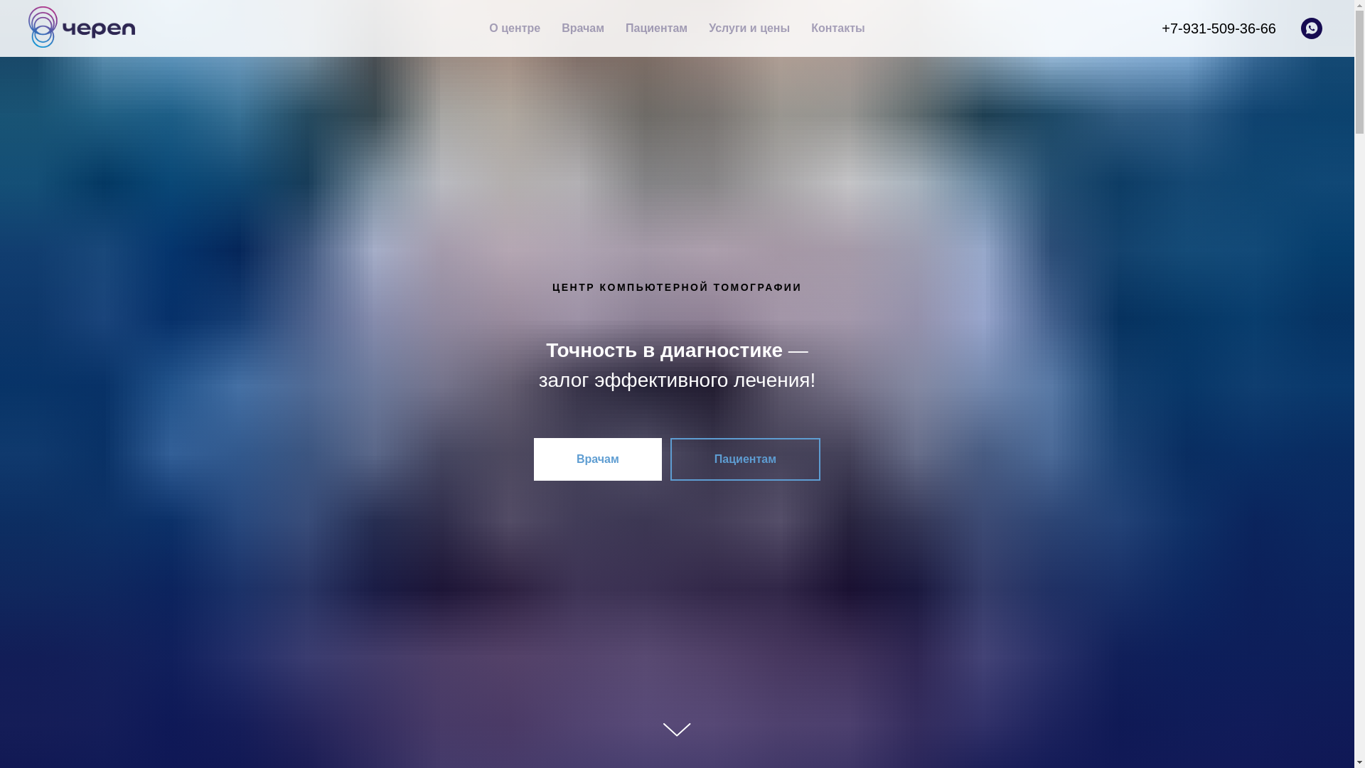 website screenshot of https://cherep-ckt.ru/