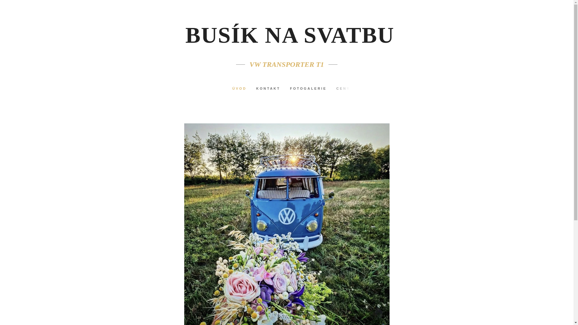 website screenshot of https://busiknasvatbu.cz/