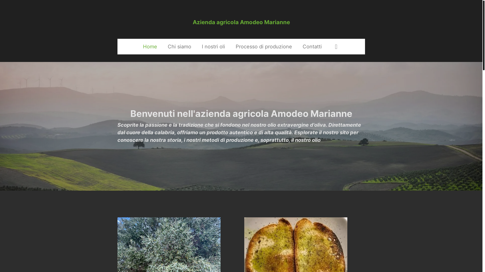 website screenshot of https://aziendaagricolaamodeomarianne.it/