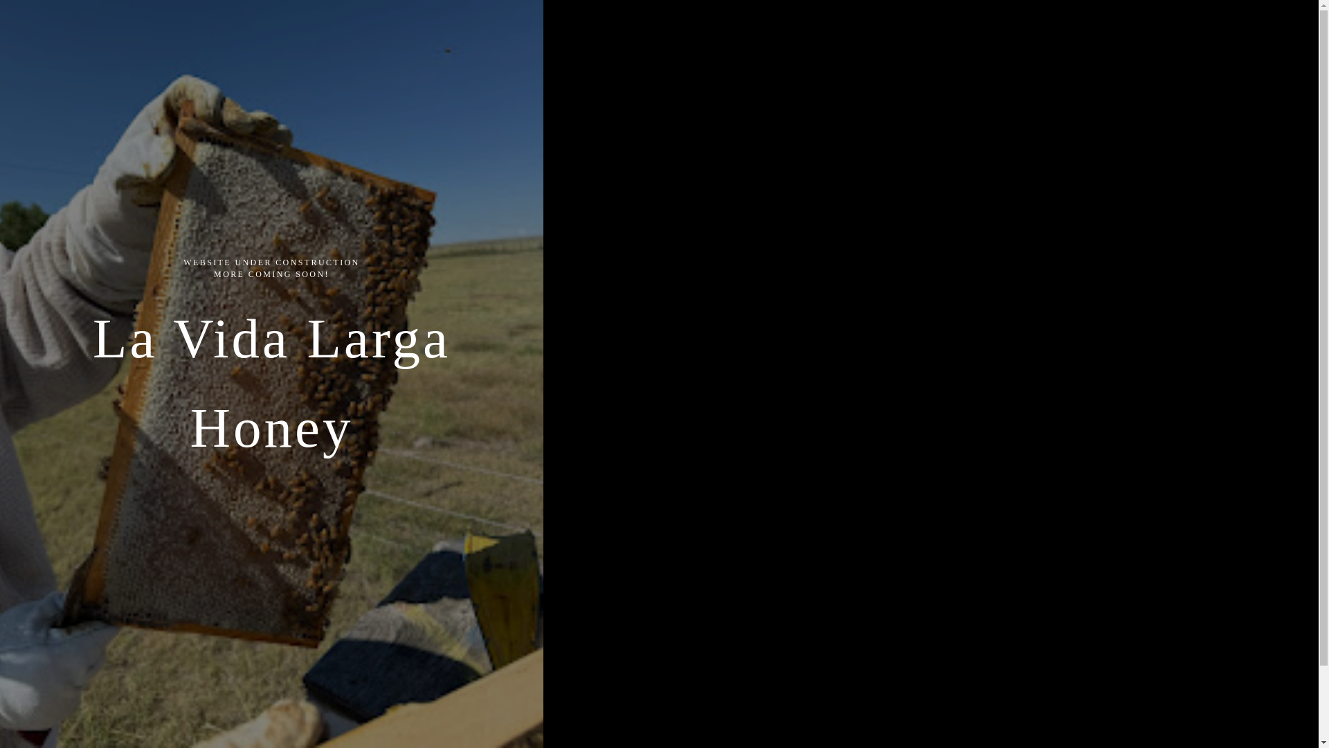 website screenshot of https://lavidalargahoney.com/