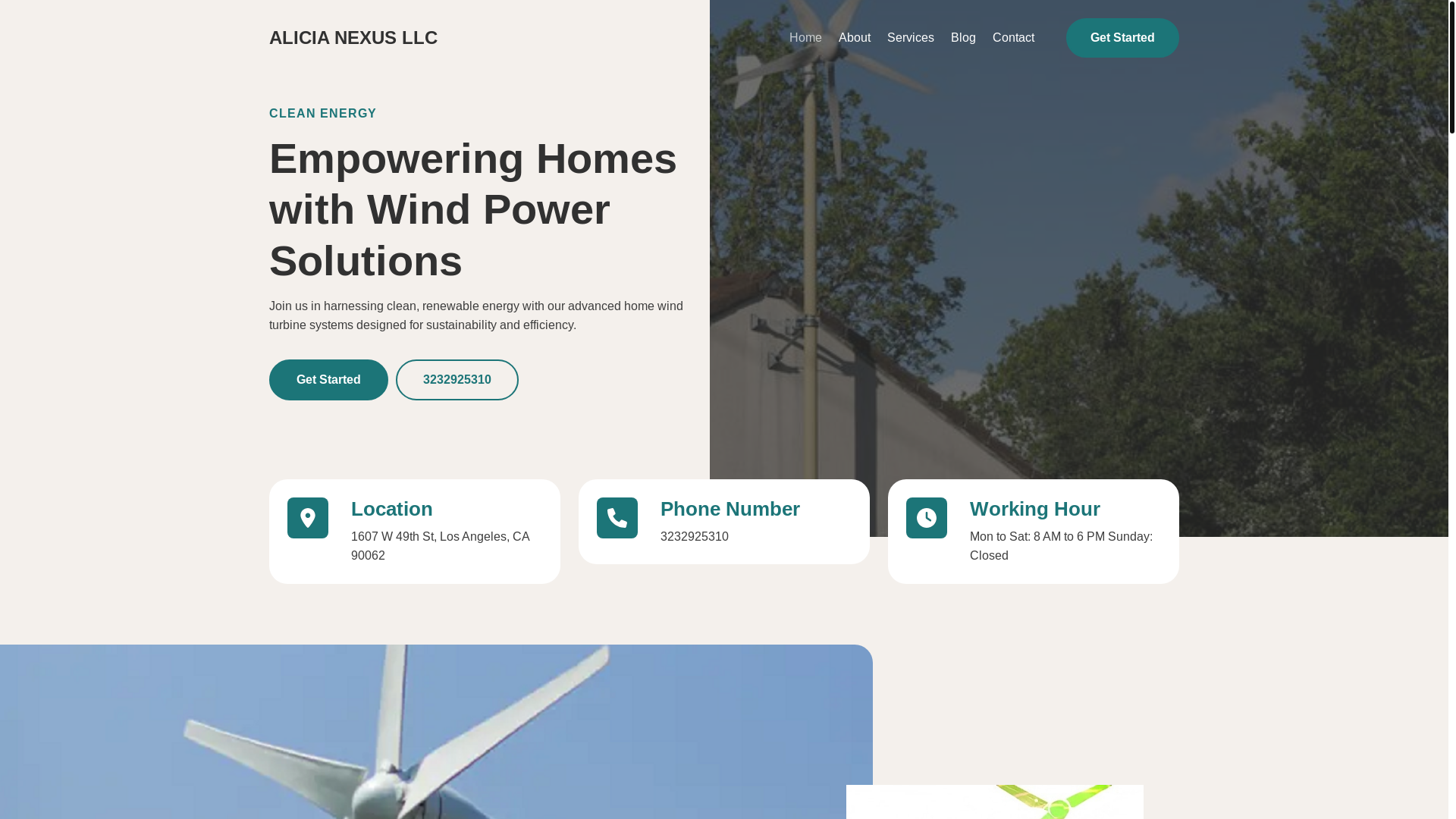 website screenshot of https://boldleapllc.us/