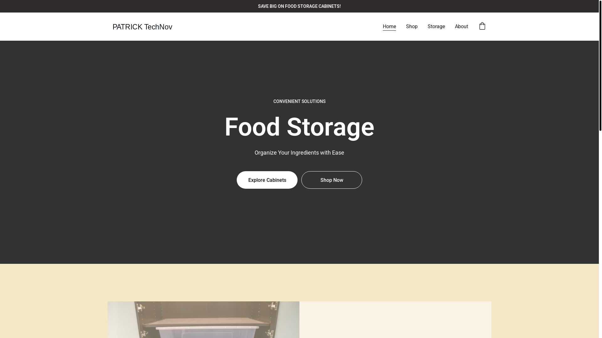 website screenshot of https://patrickte.com/