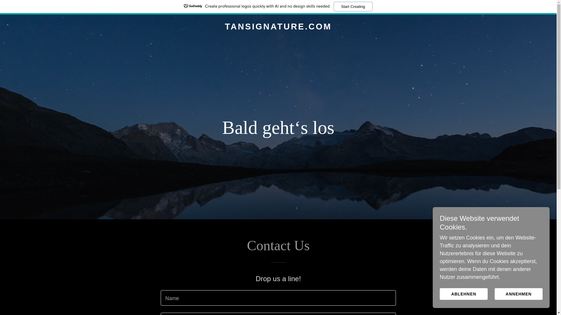website screenshot of https://tansignature.com/