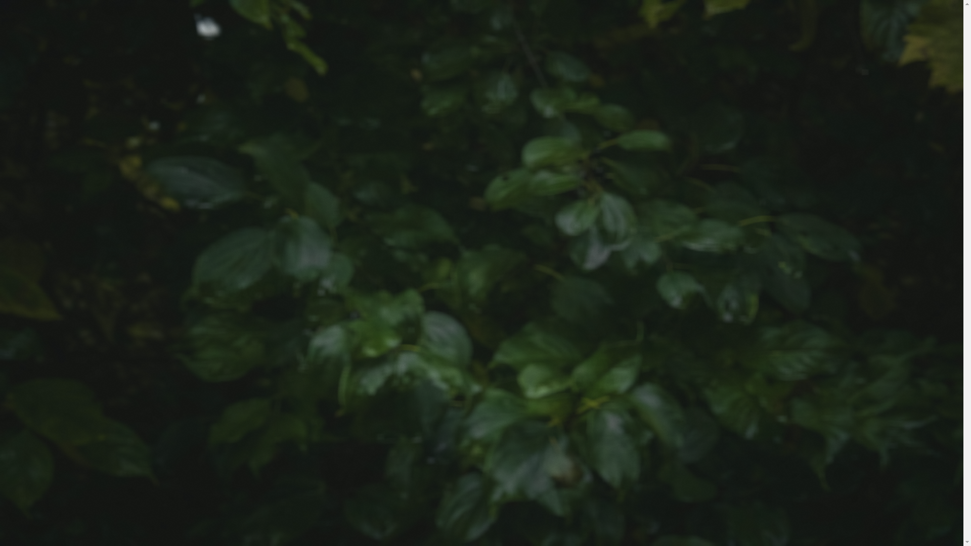 website screenshot of https://jacobdgrohmann.com/