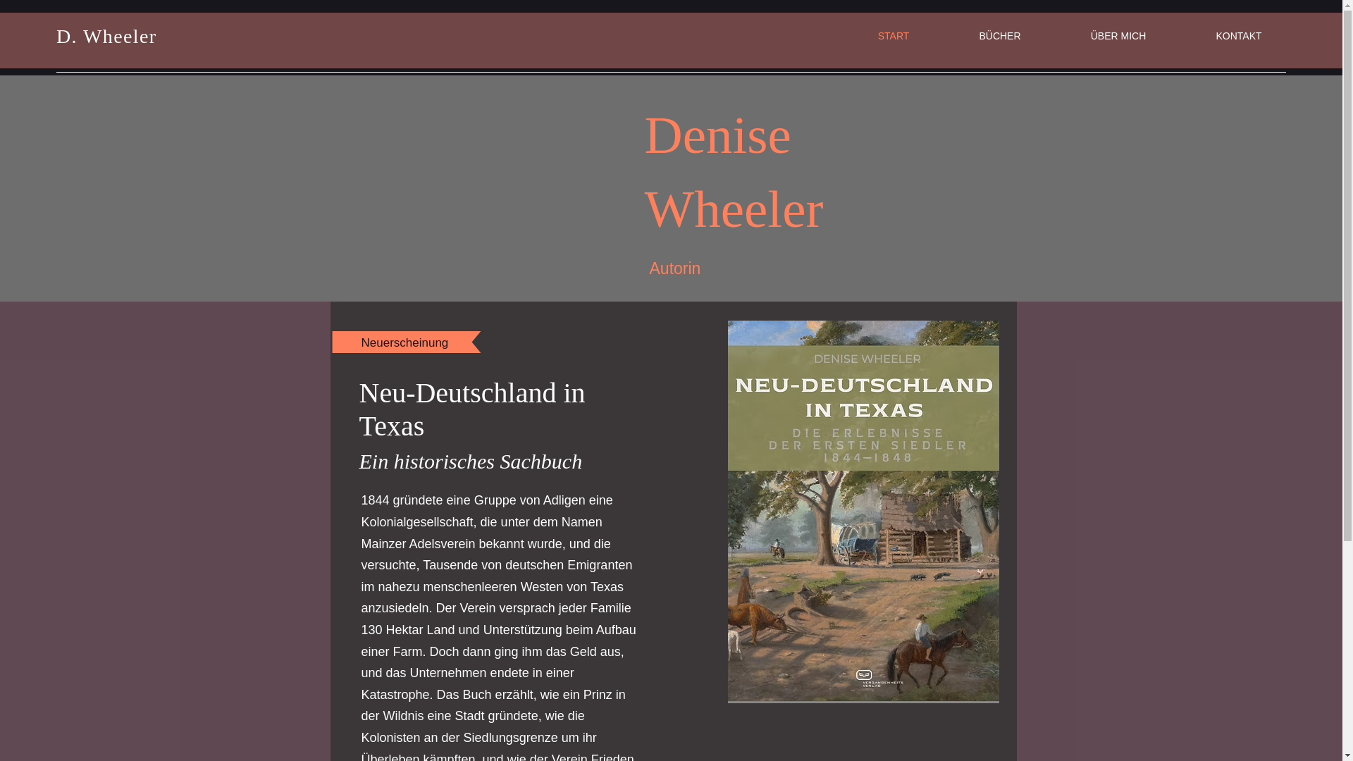 website screenshot of https://denisewheeler.info/