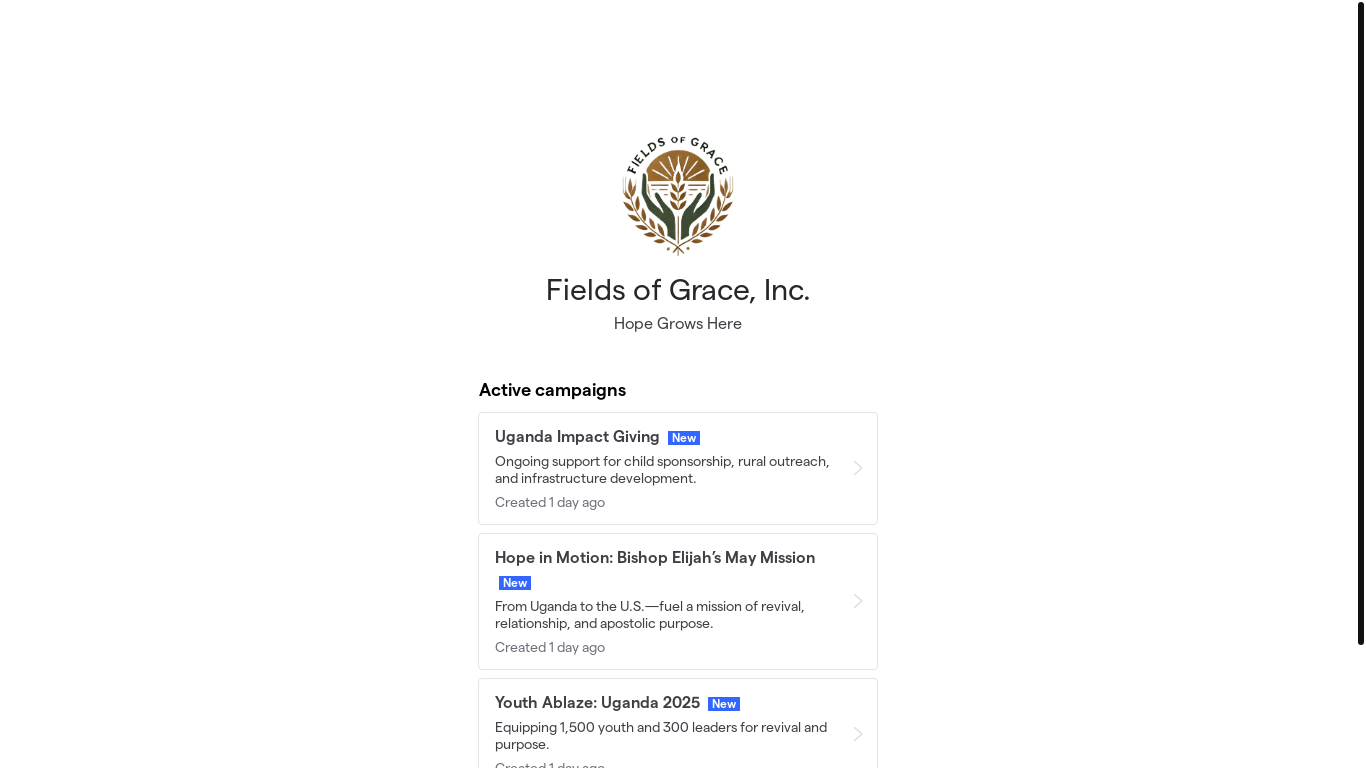 website screenshot of https://fieldsofgracemissions.org/