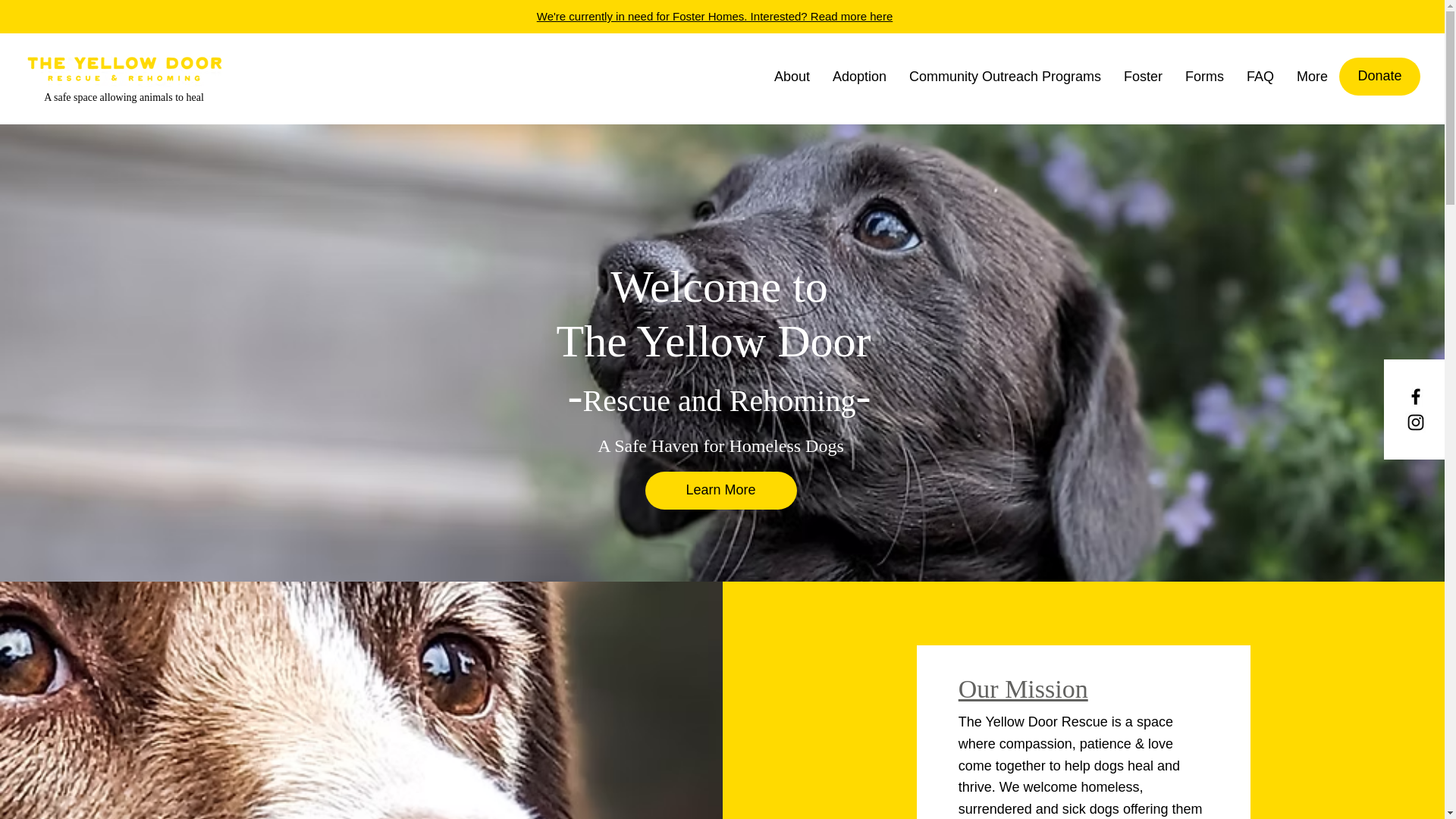 website screenshot of https://theyellowdoorrescue.online/