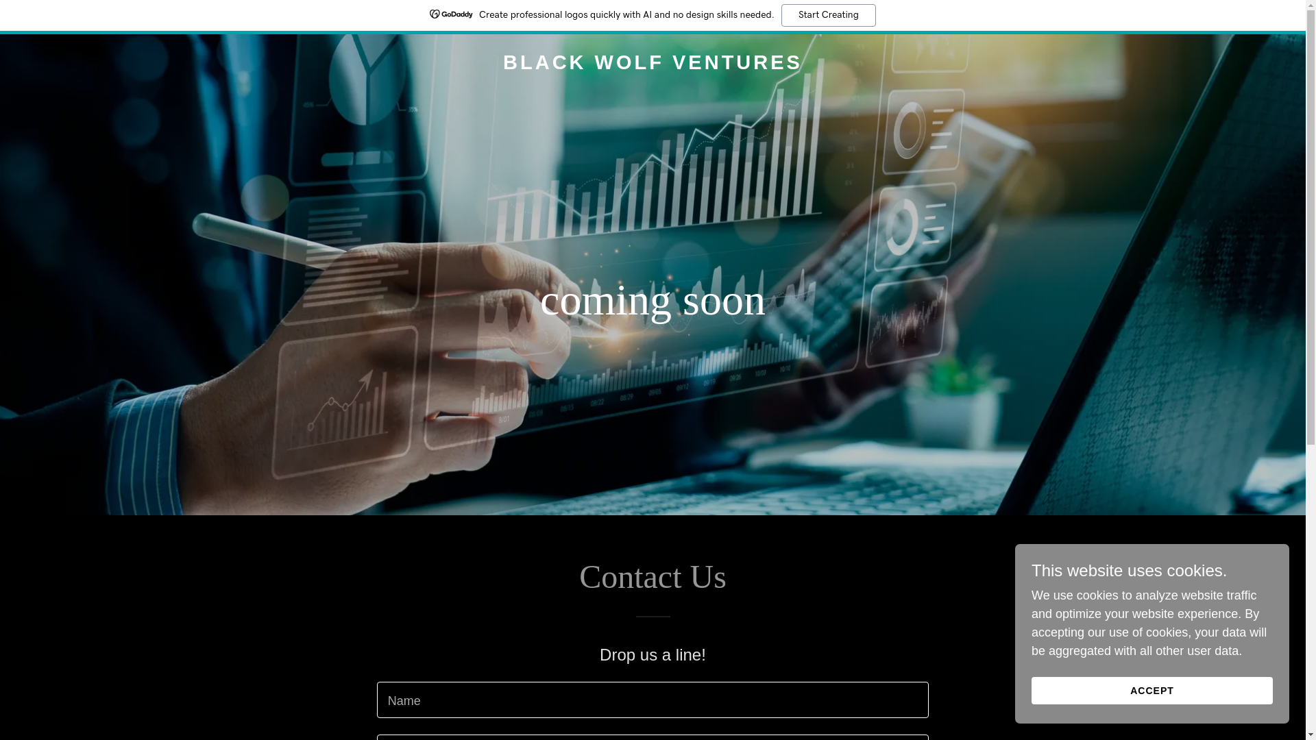 website screenshot of https://blackwolf.vc/