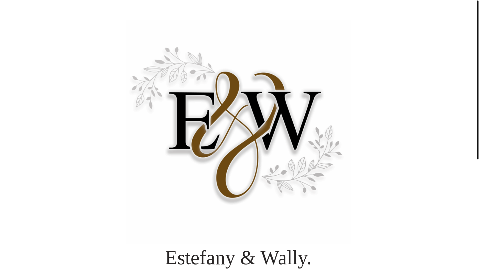website screenshot of https://estefanyandwally.com/