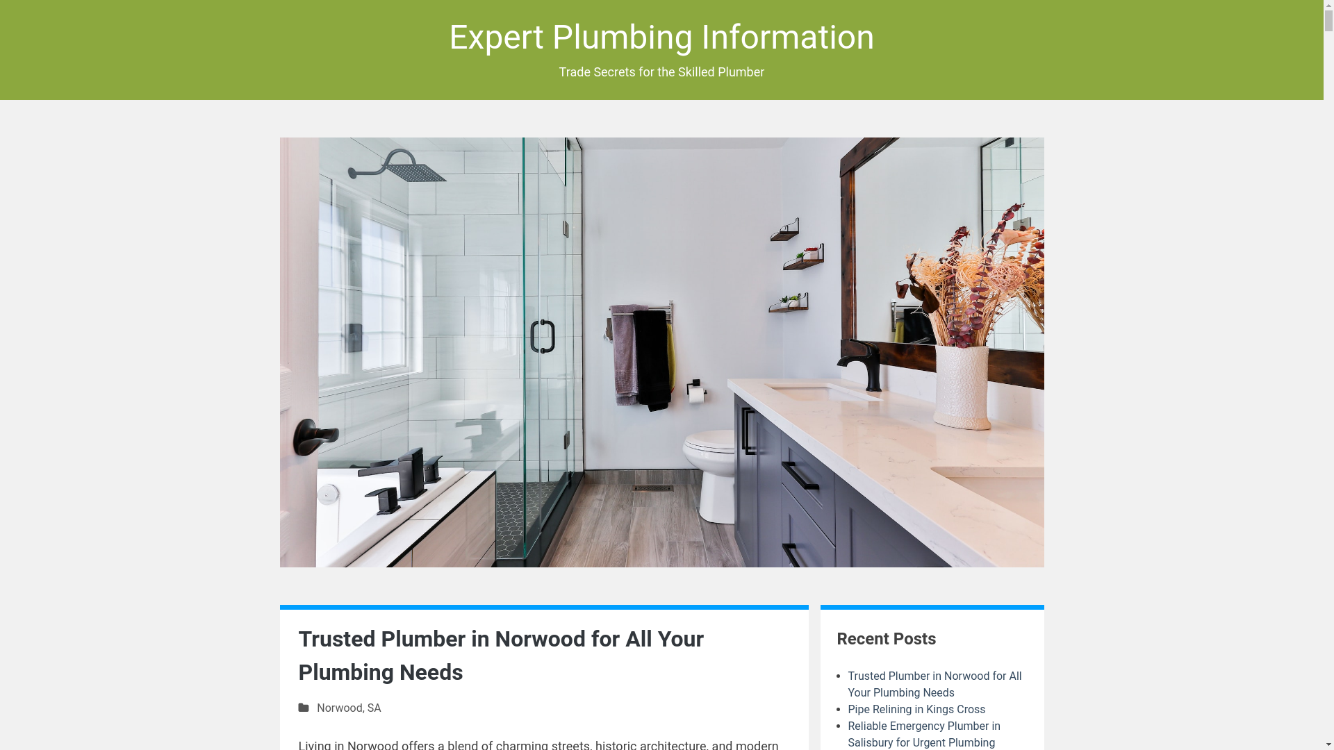 website screenshot of https://expert-plumbing-information.pages.dev/