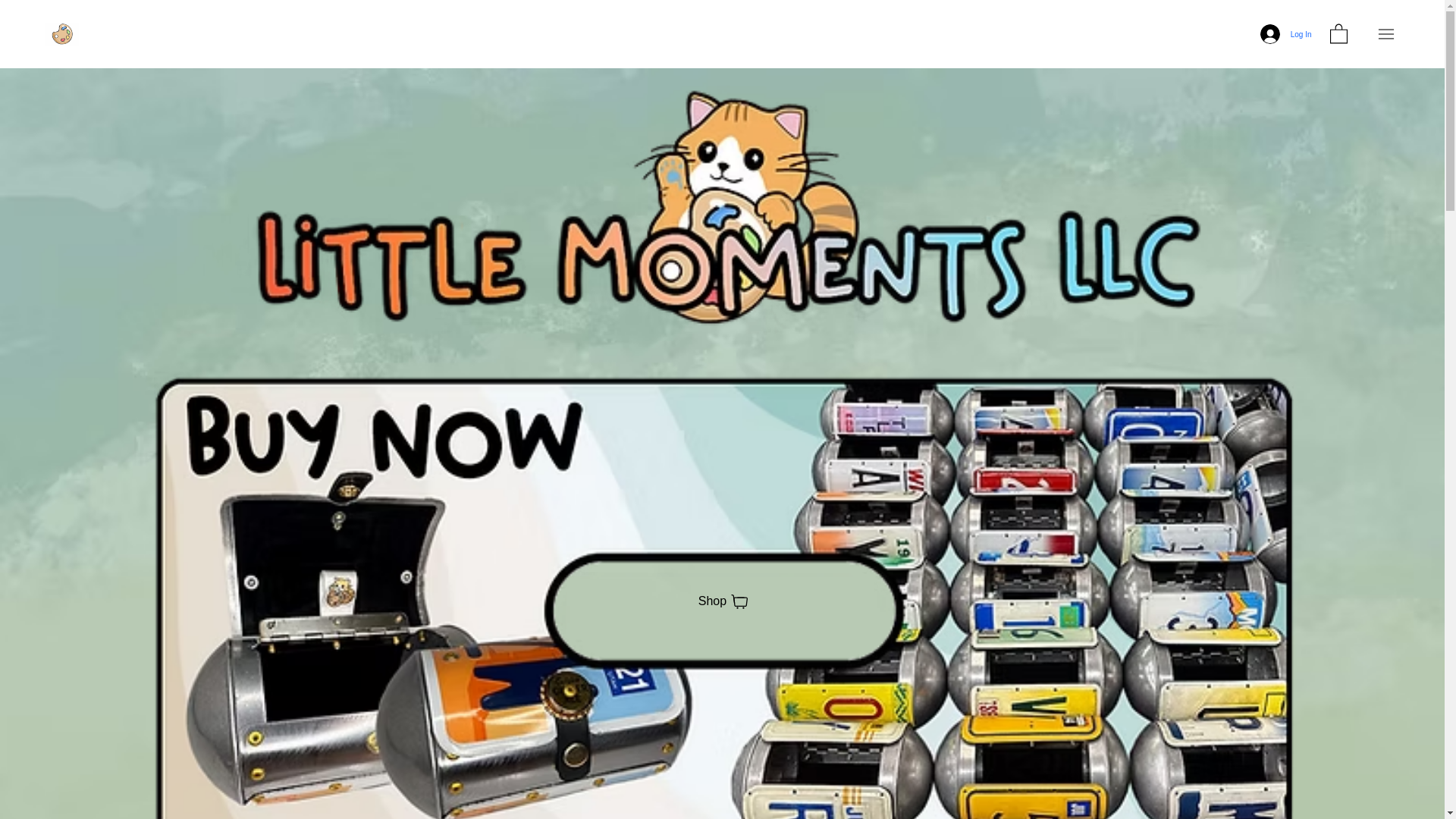 website screenshot of https://littlemomentsllc.shop/