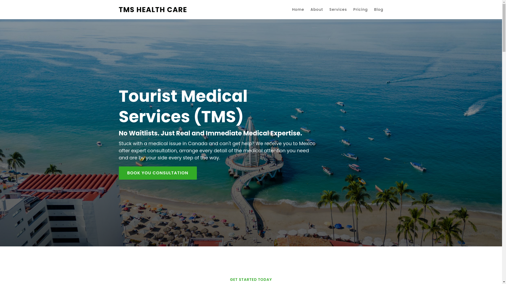 website screenshot of https://touristmedicalservices.ca/