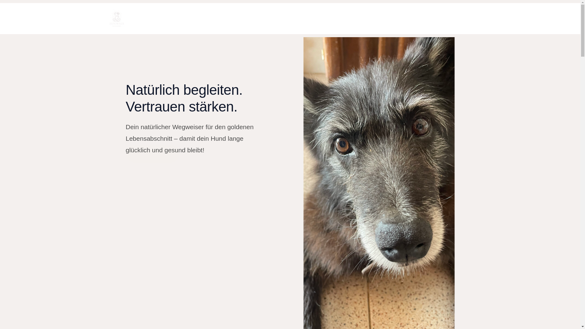 website screenshot of https://zenimals-hund.de/