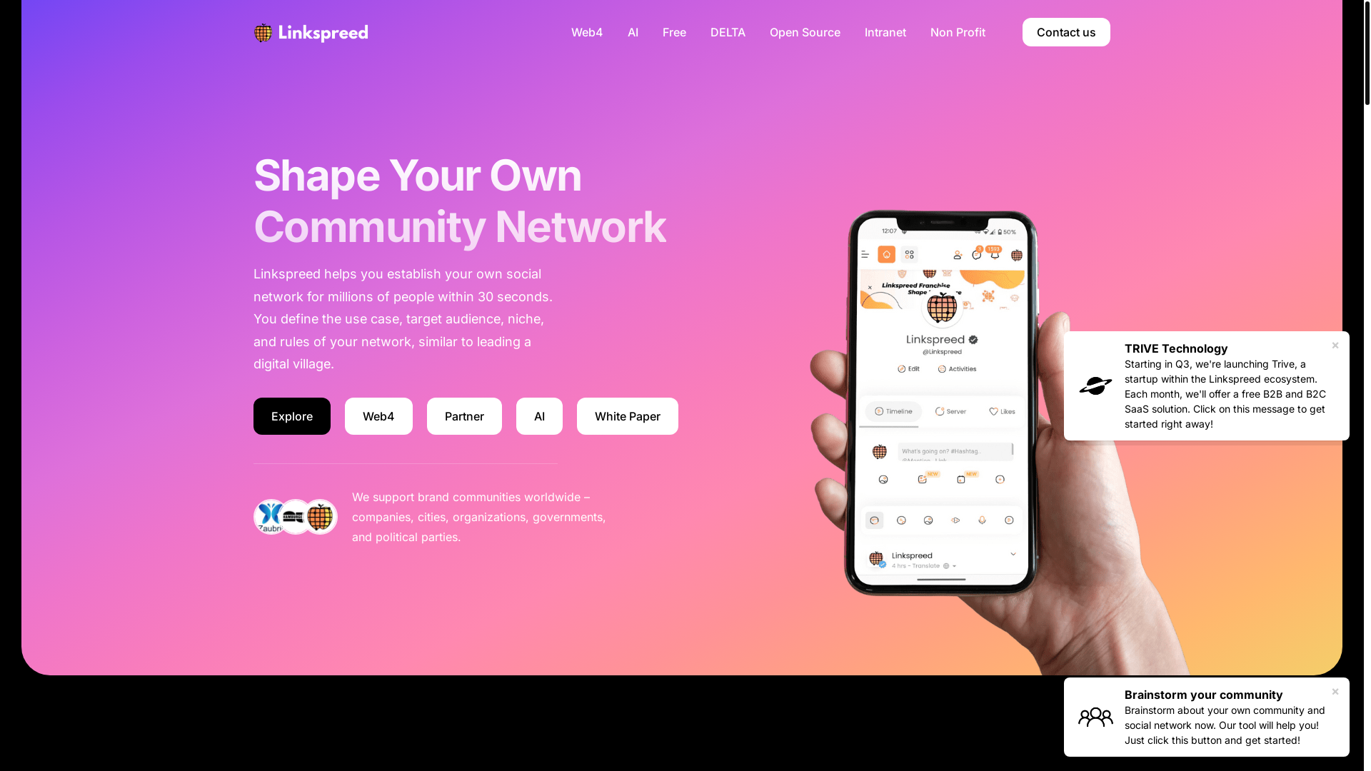 website screenshot of https://linkspreed.com/