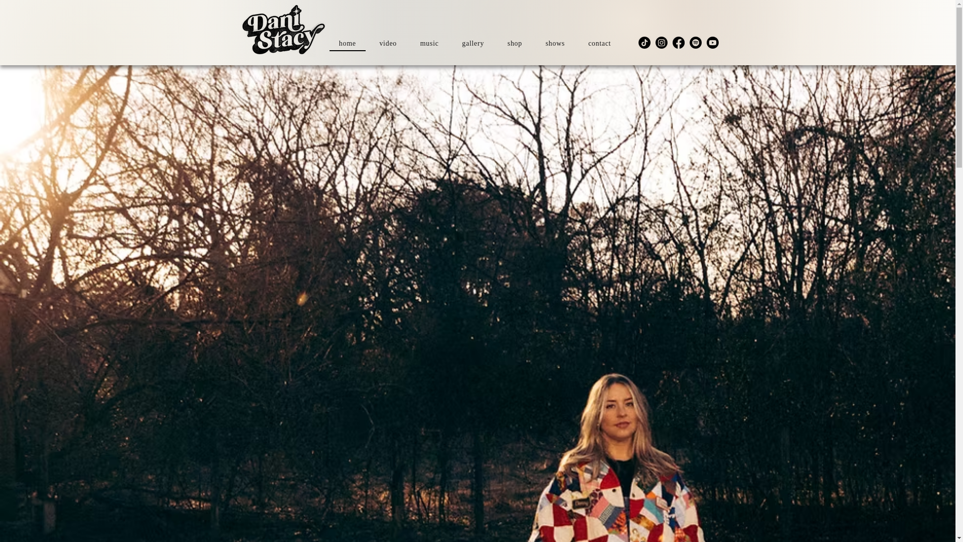 website screenshot of https://danistacysucks.com/