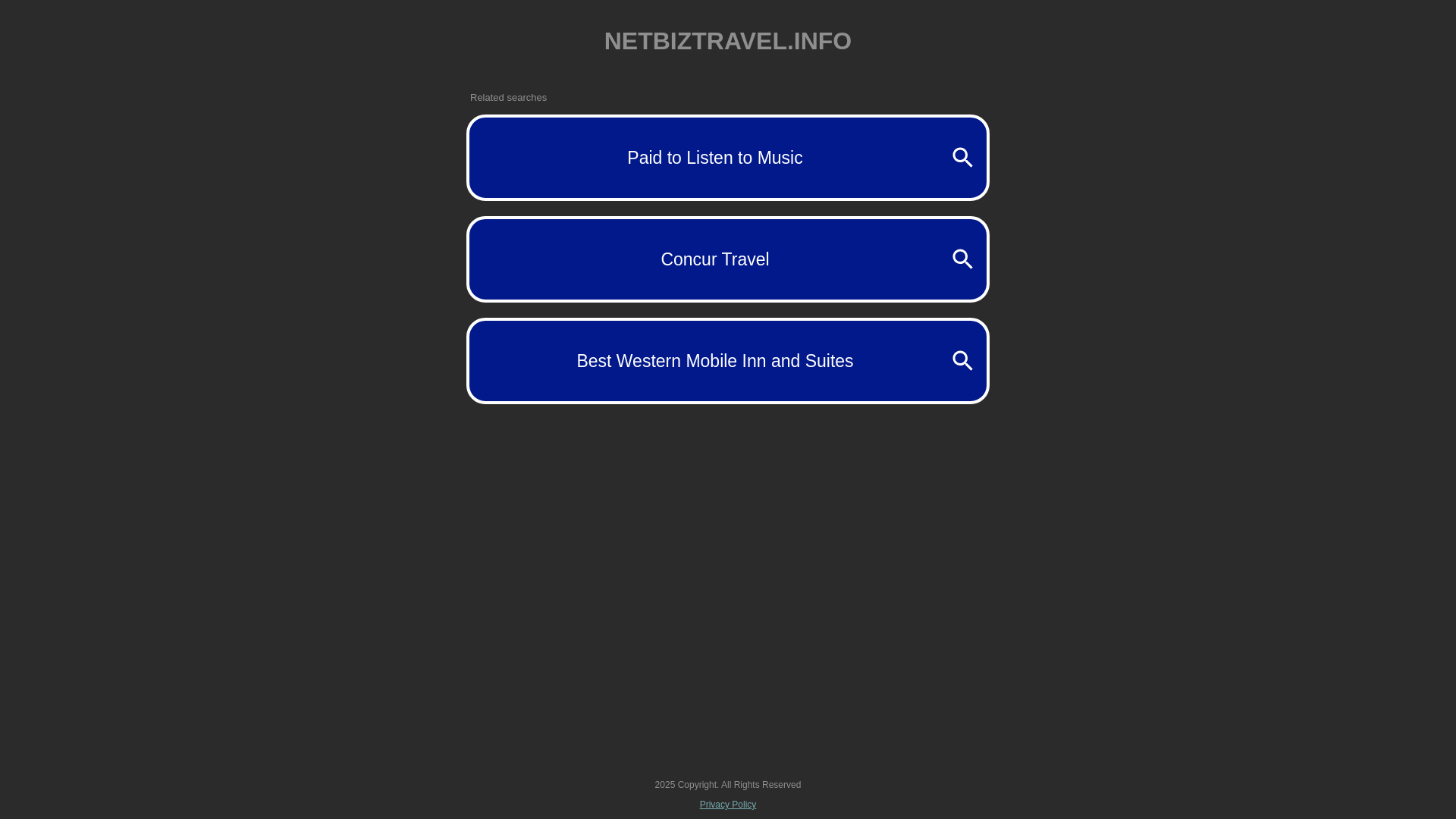 website screenshot of https://netbiztravel.info/