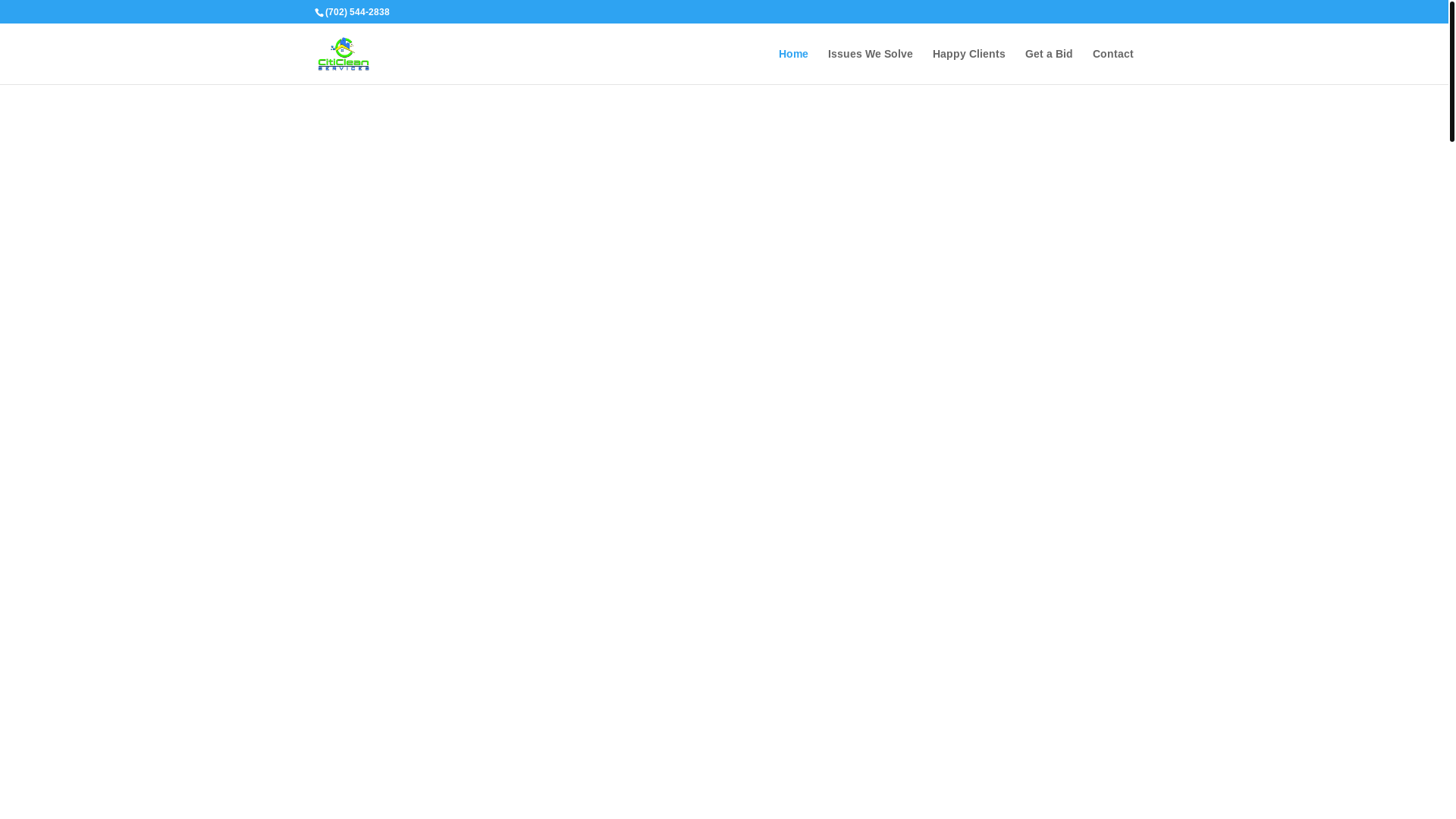 website screenshot of https://citicleanteam.com/