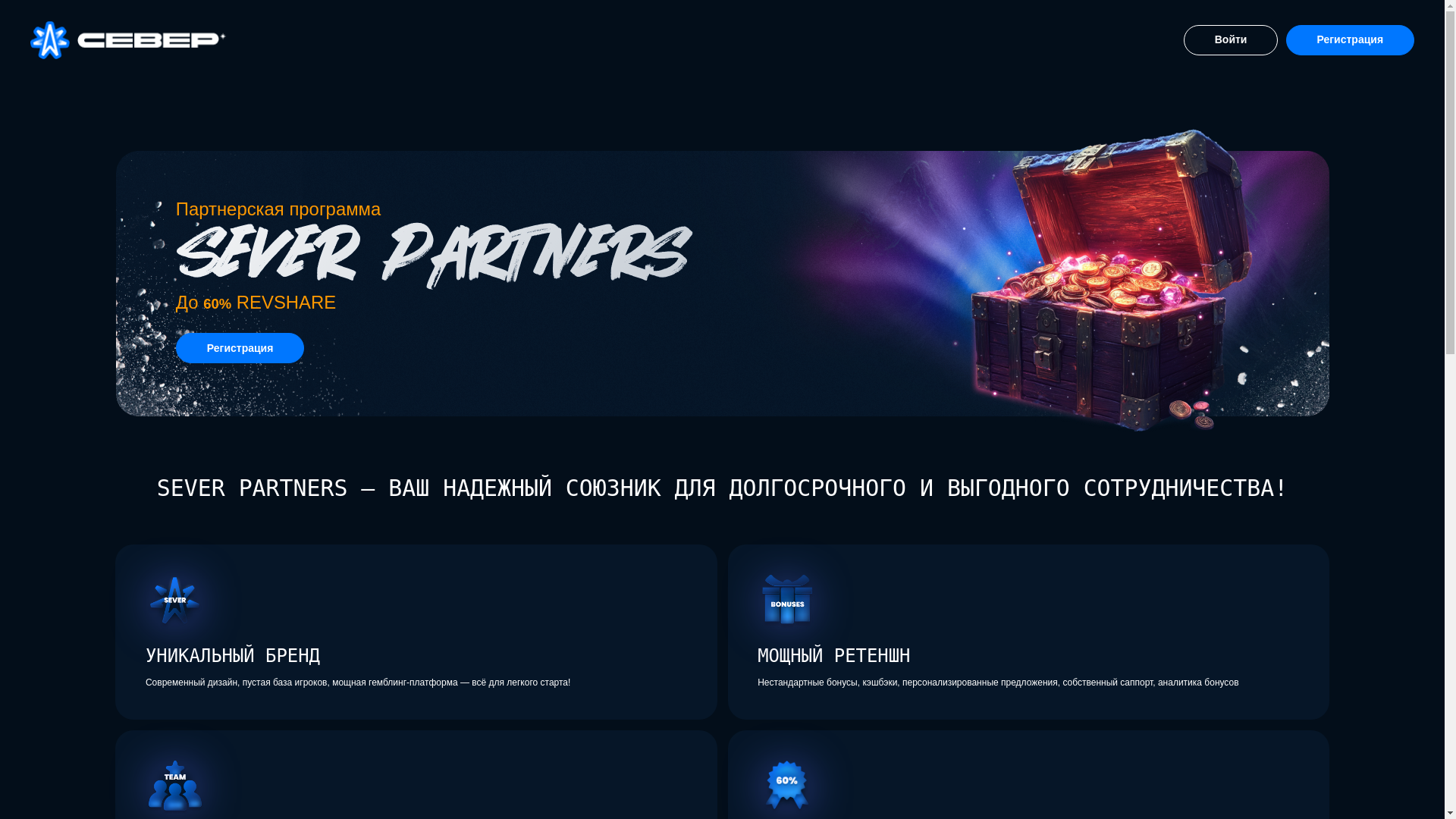 website screenshot of https://svr-partners.pages.dev/