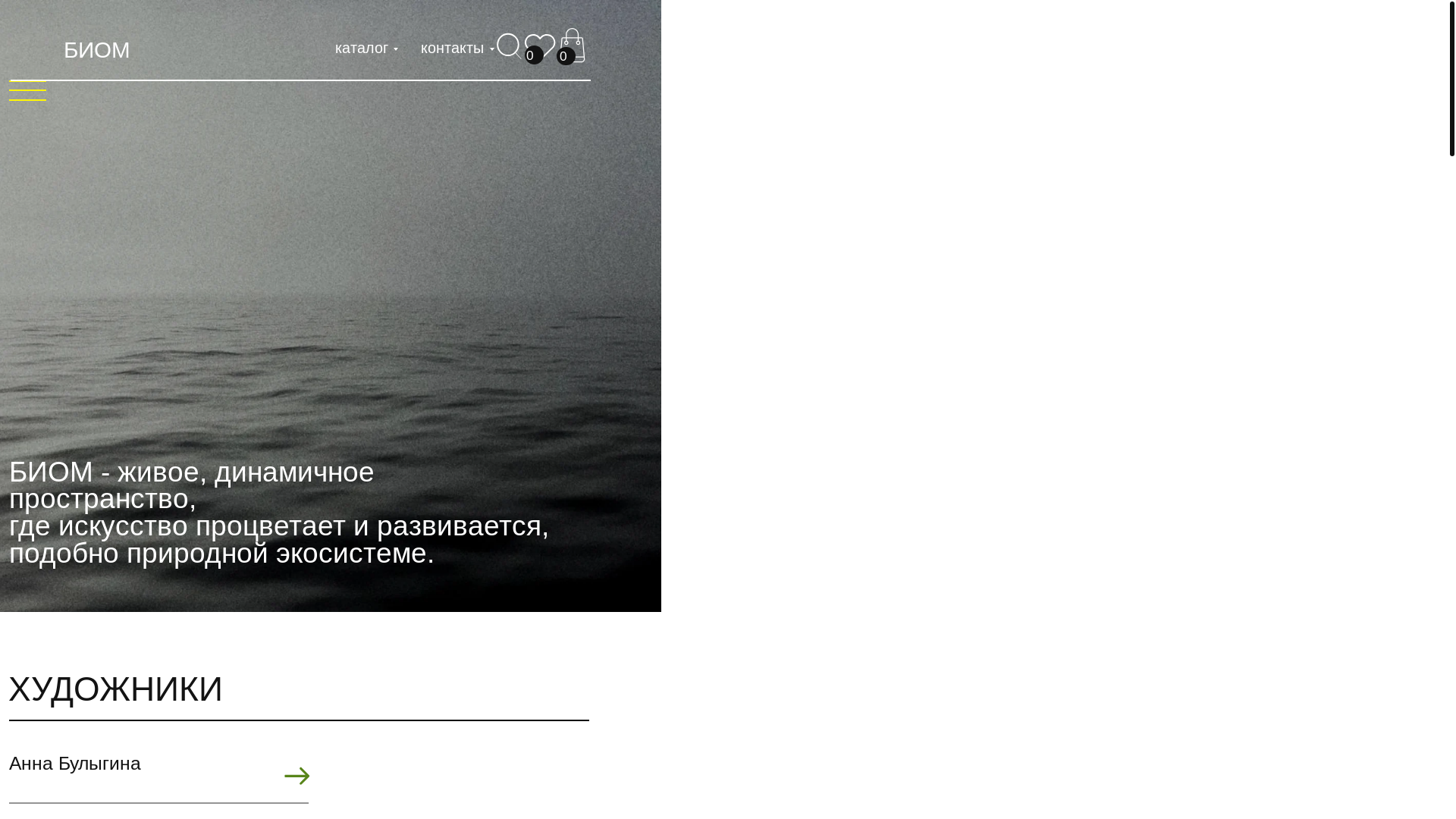 website screenshot of https://biomgallery.ru/
