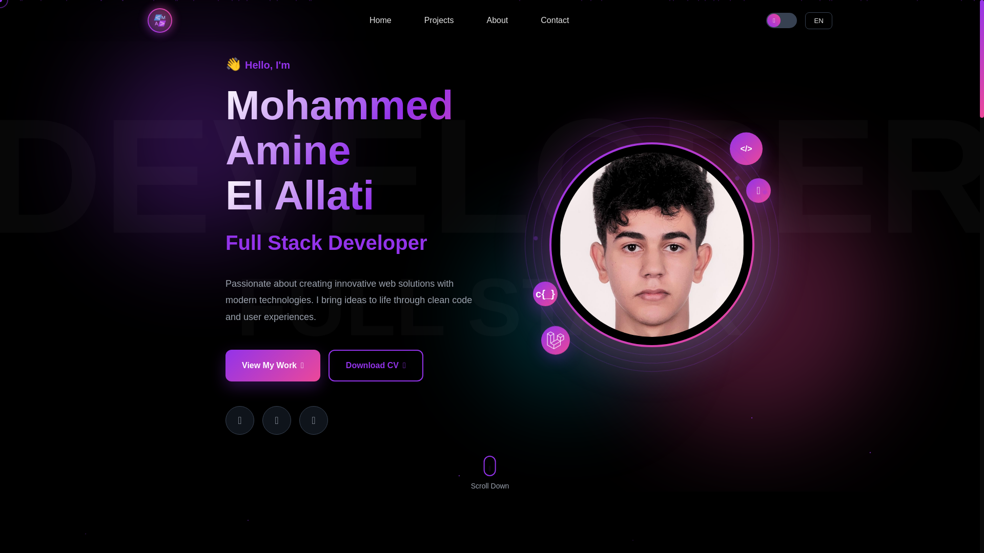 website screenshot of https://mohammedaminelallati.info/