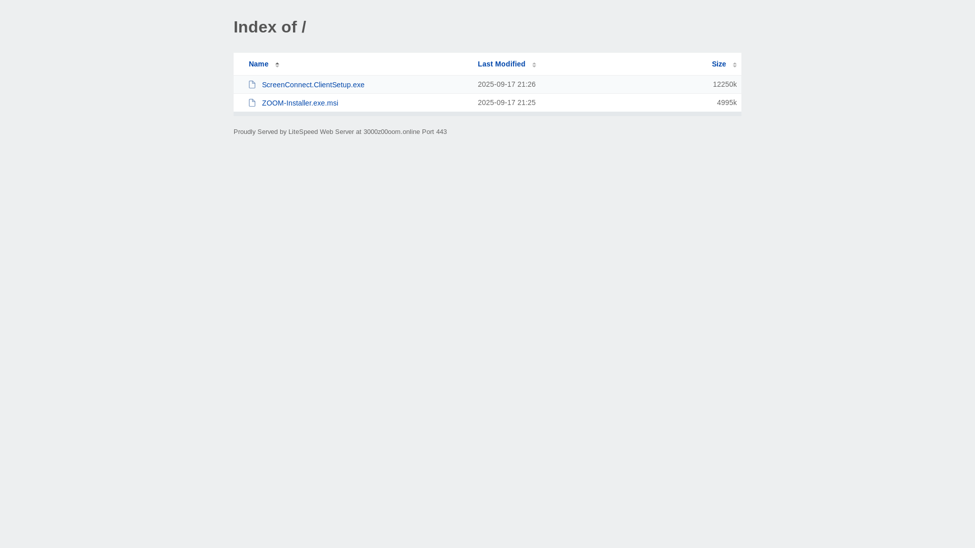website screenshot of https://3000z00oom.online/
