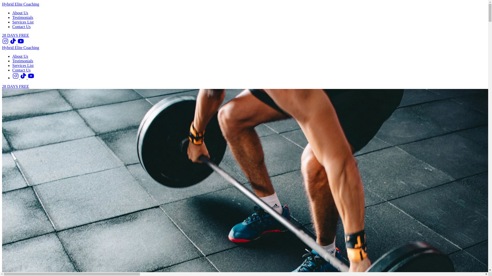 website screenshot of https://hybridelitetraining.online/