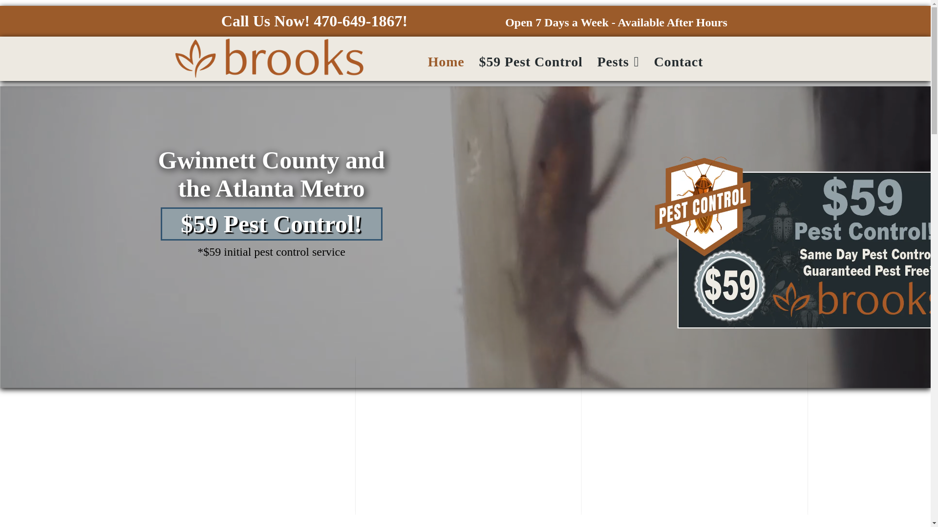 website screenshot of https://brooksgwinnettcounty.com/