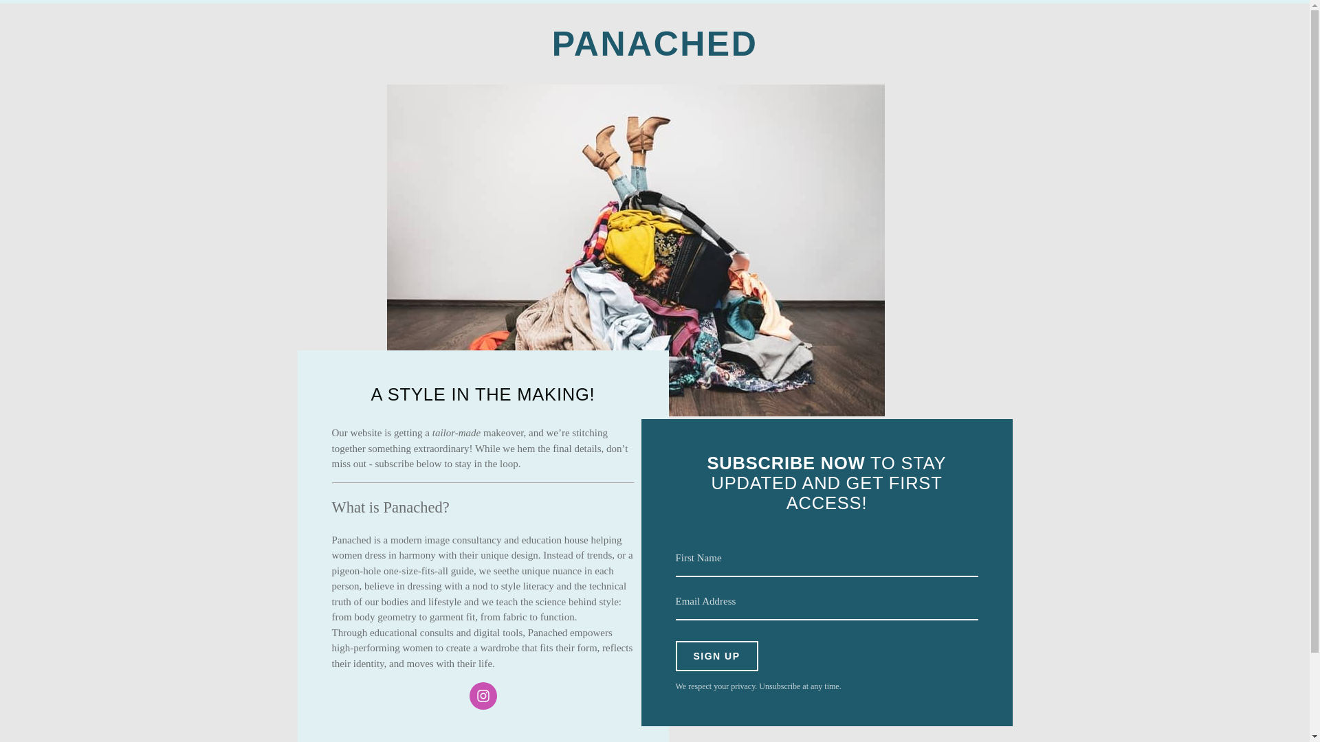 website screenshot of https://panached.info/