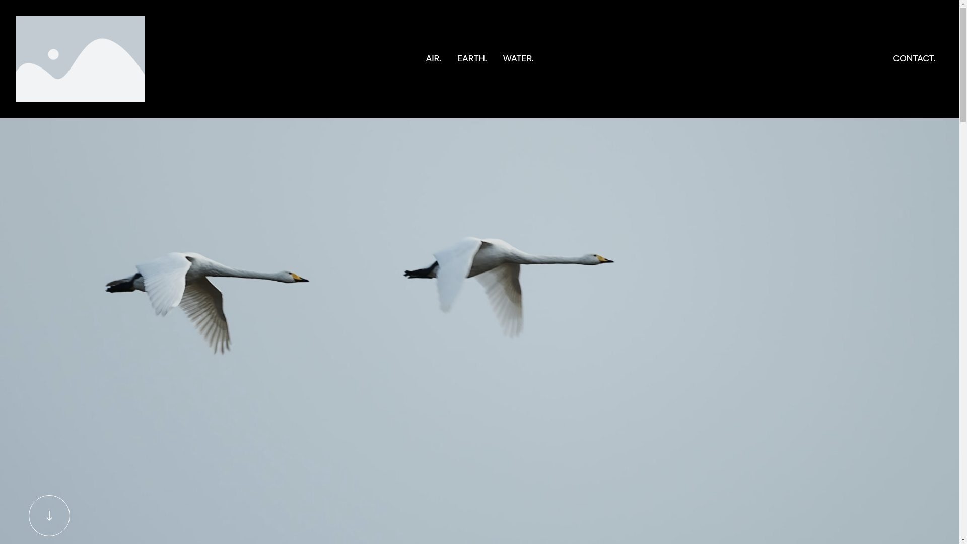 website screenshot of https://delsentiralresistir.org/