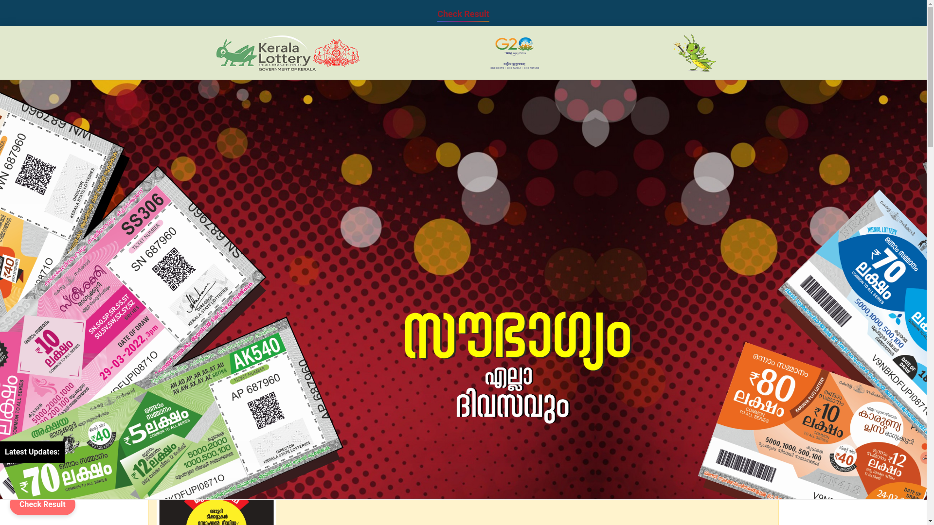 website screenshot of https://keralalotterywinnerlist.online/