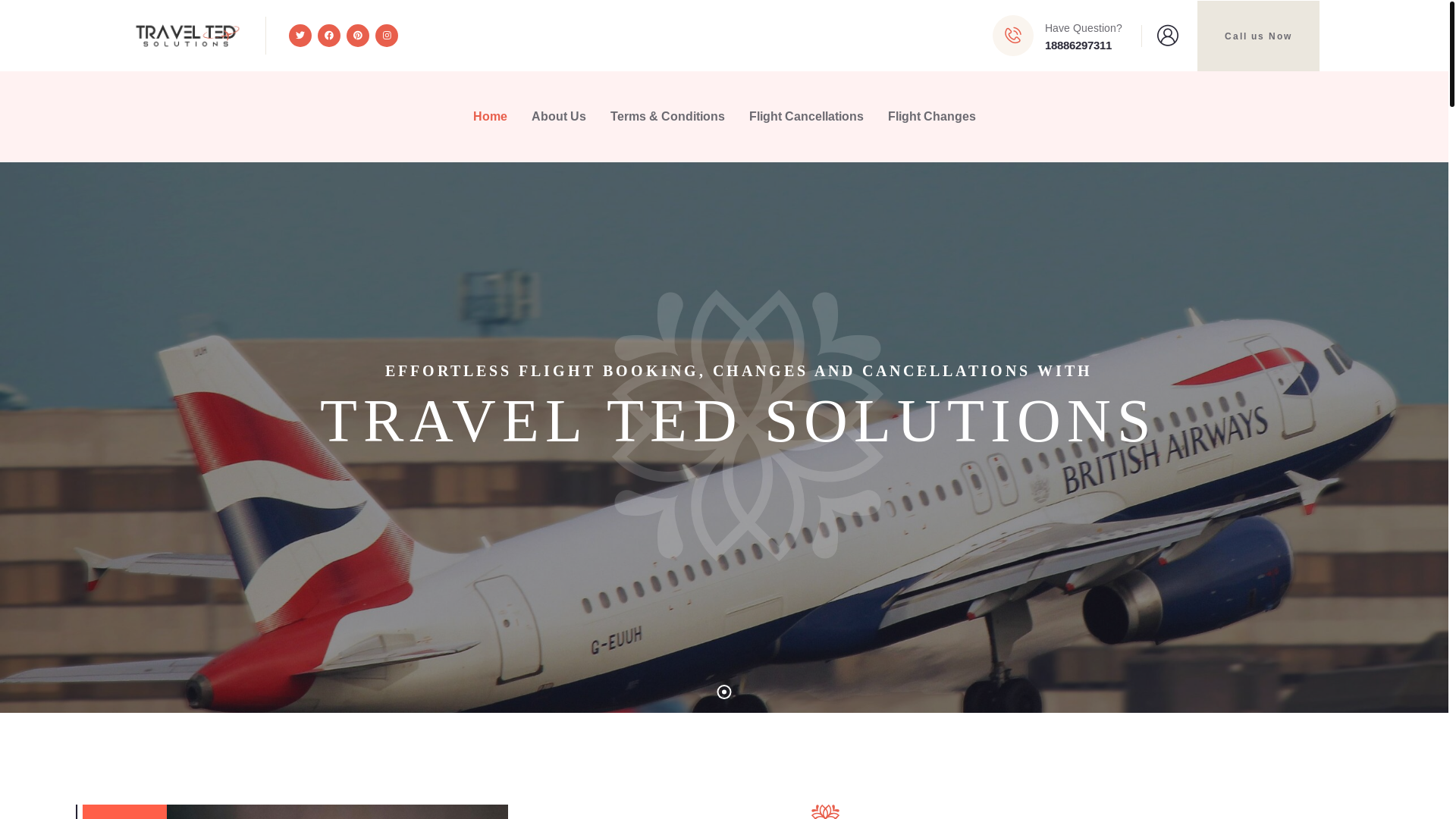website screenshot of https://traveltedsolution.com/