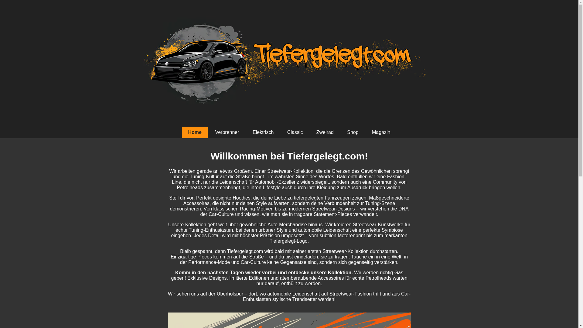 website screenshot of https://tiefergelegt.com/