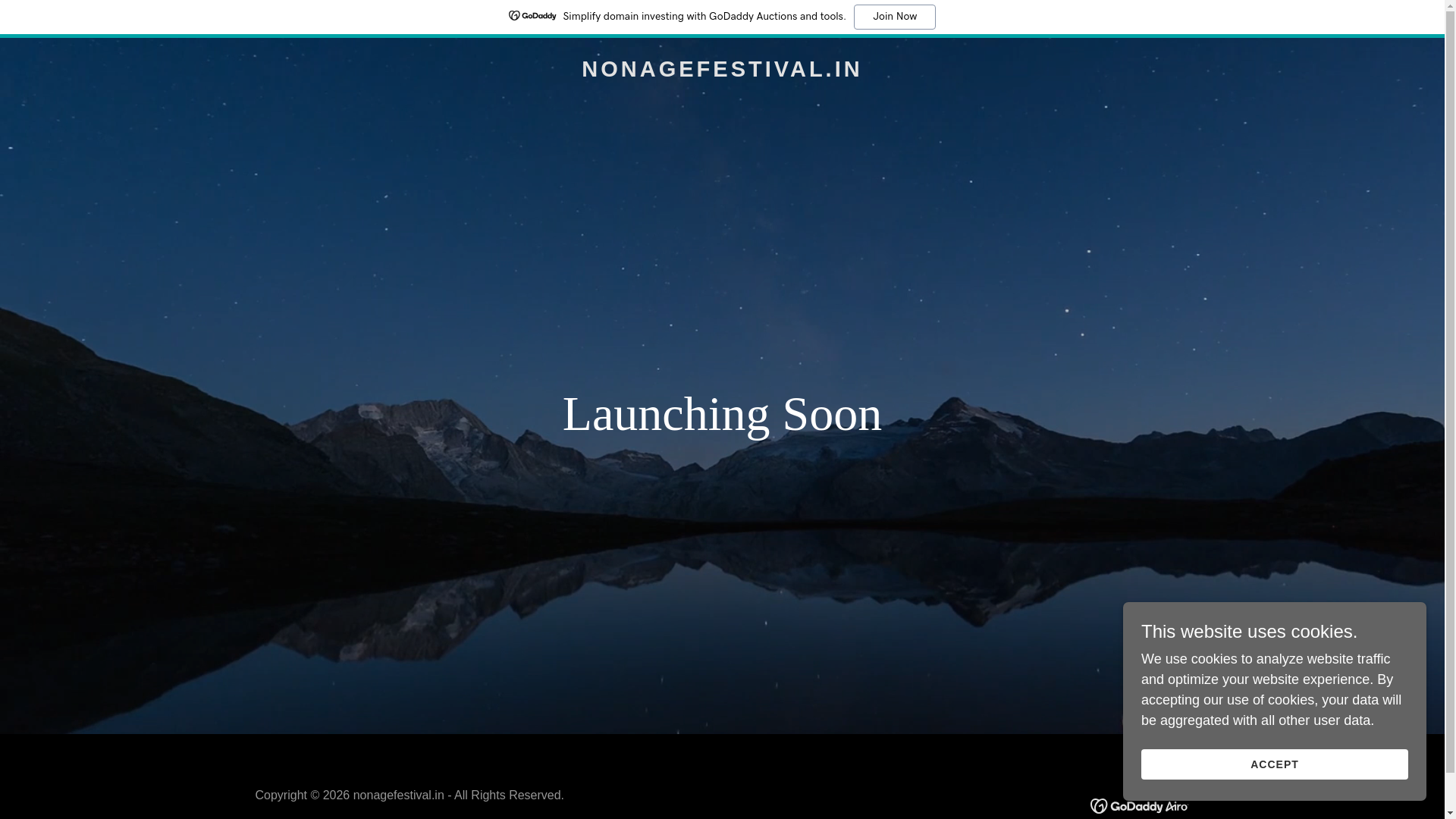 website screenshot of https://nonagefestival.in/