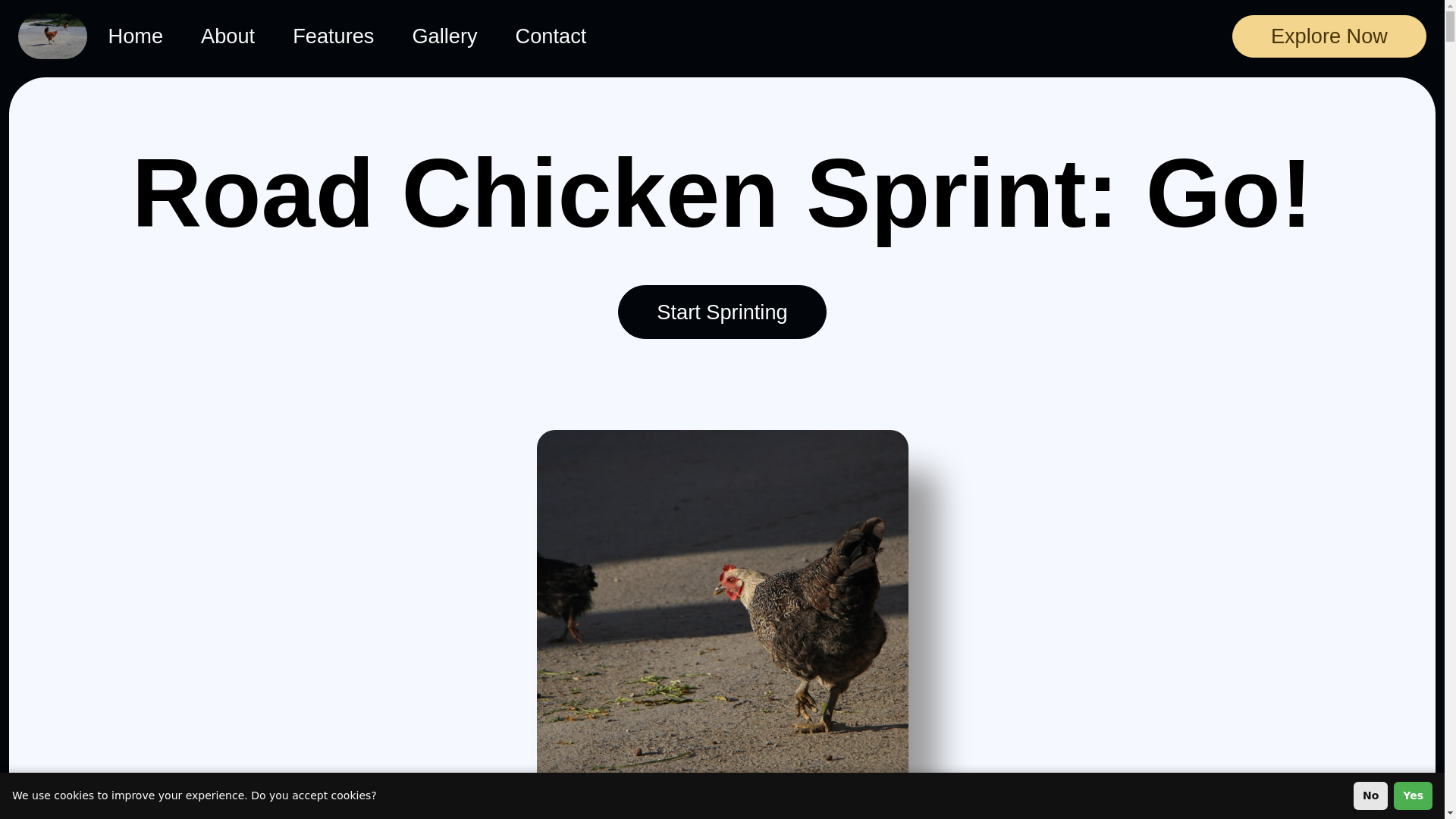 website screenshot of https://chickenroadsqni.pro/
