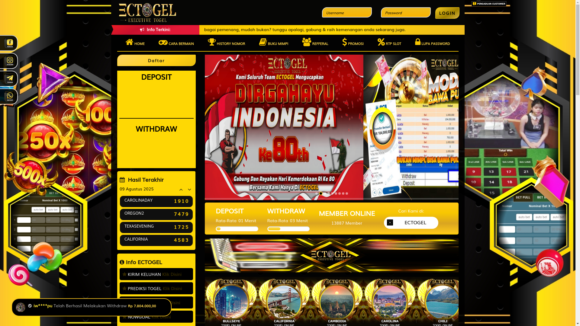 website screenshot of https://ectogelsedap.store/