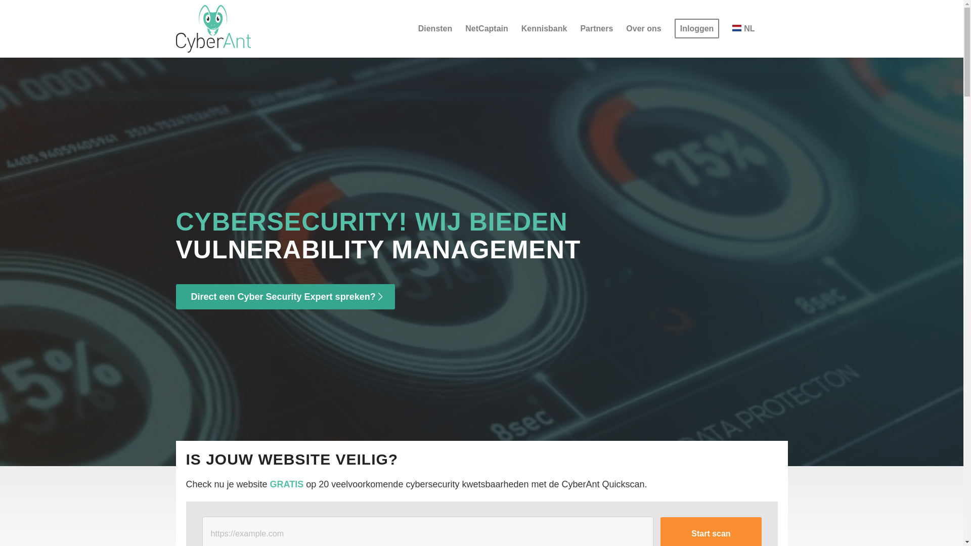 website screenshot of https://cyber-ant.com/