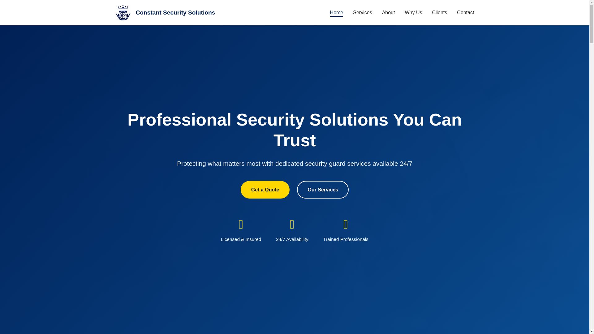 website screenshot of https://constantsecuritysolutions.in/
