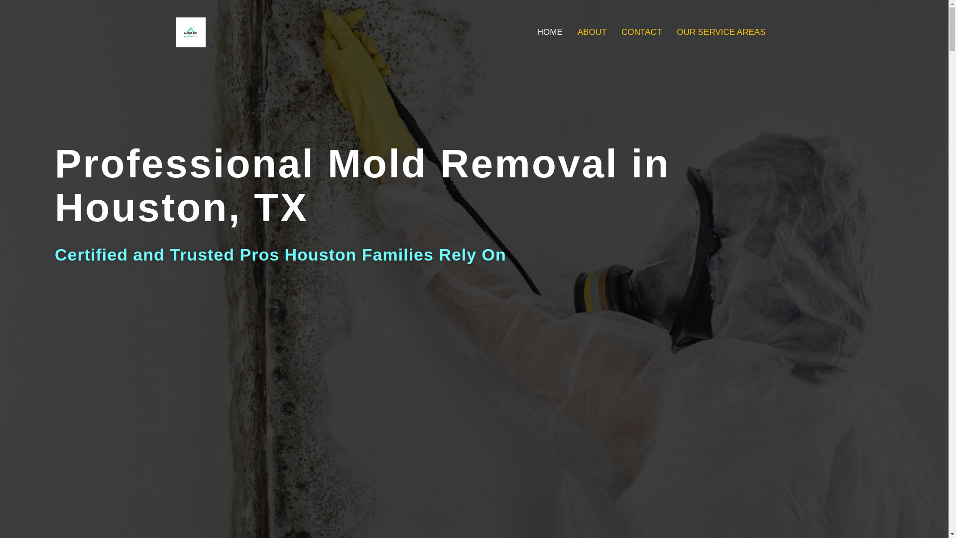 website screenshot of https://moldwestpalmbeach.com/