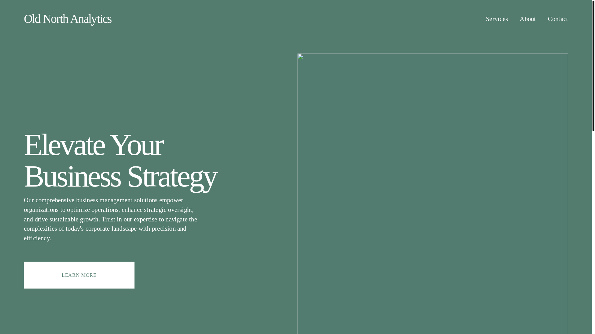 website screenshot of https://oldnorthanalytics.com/