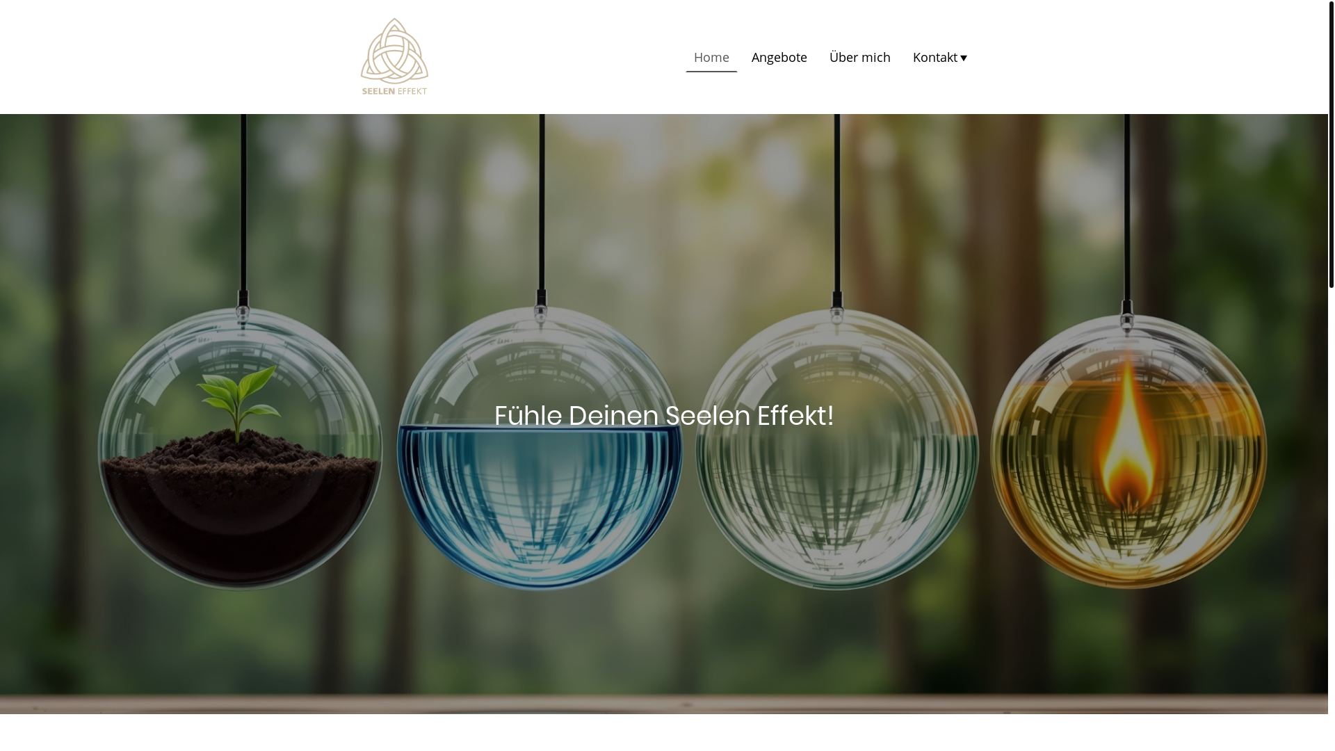 website screenshot of https://seelen-effekt.de/