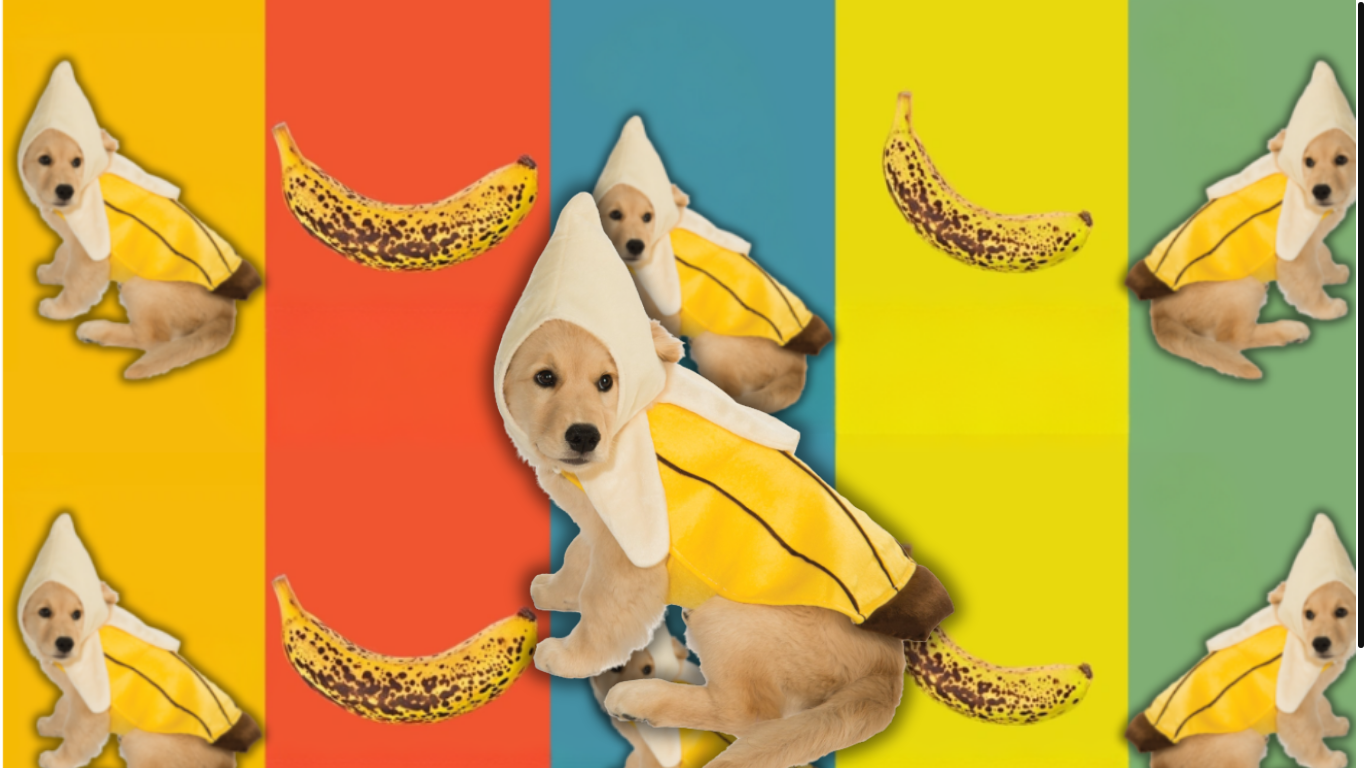 website screenshot of https://dogbananasol.com/