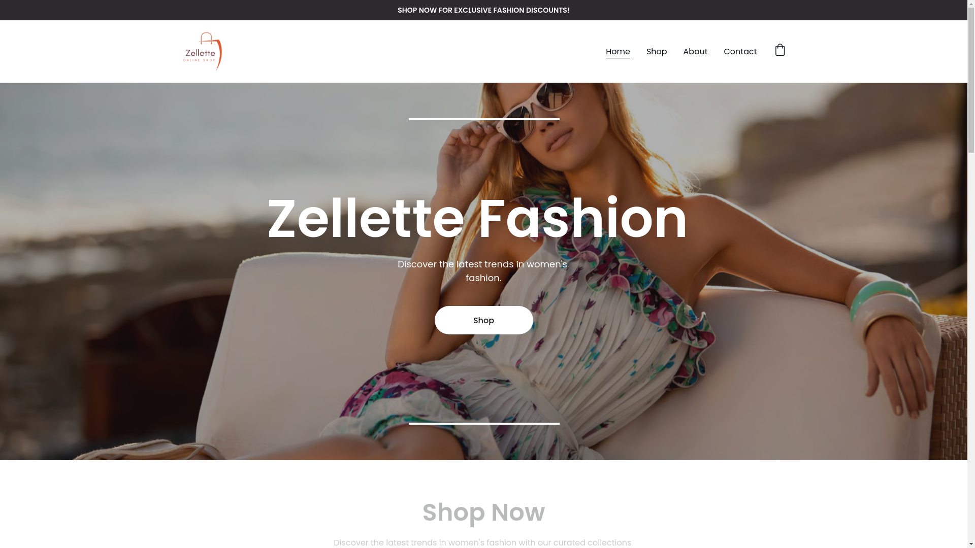 website screenshot of https://zellette.online/